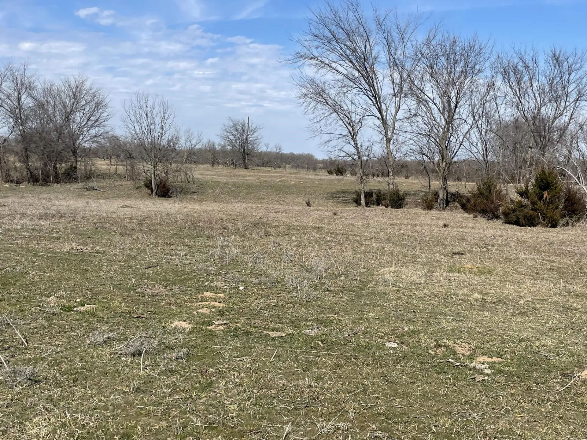 Ranch For Sale in Montague County , 001 Denver Road, Sunset, Texas 76270, 0, 0, Garage spaces, 0 Sqft, built in 0, mls#21090113, Real Estate Agent in Sunset, Homes For Sale in Montague county, Homes For Sale in Sunset, Realtor in Sunset Texas, Real Estate Brokerage Independent Realty Texas, Luminita Cordes Realtor