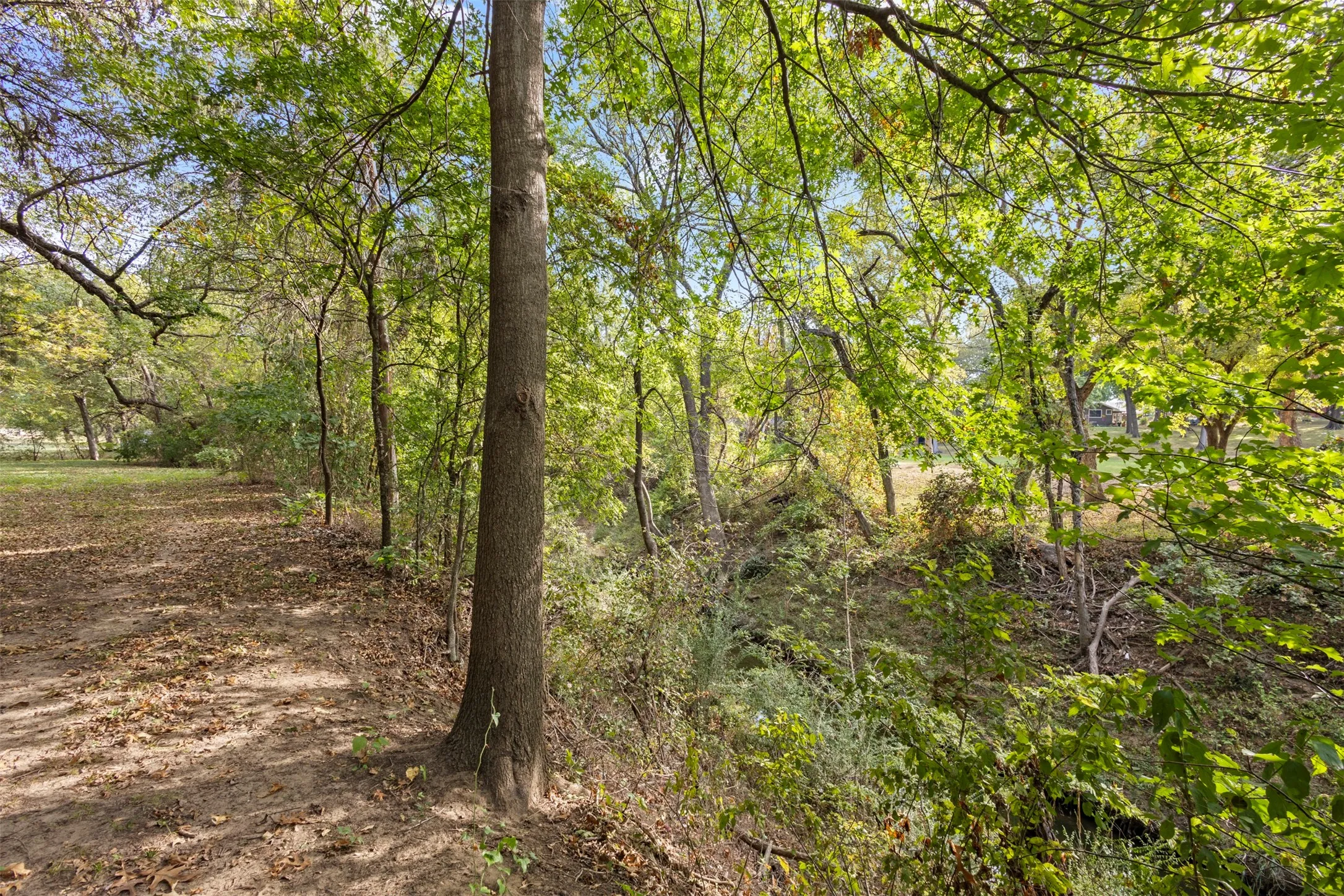 Rich, fertile land and existing infrastructure make this a promising investment in a high-growth corridor