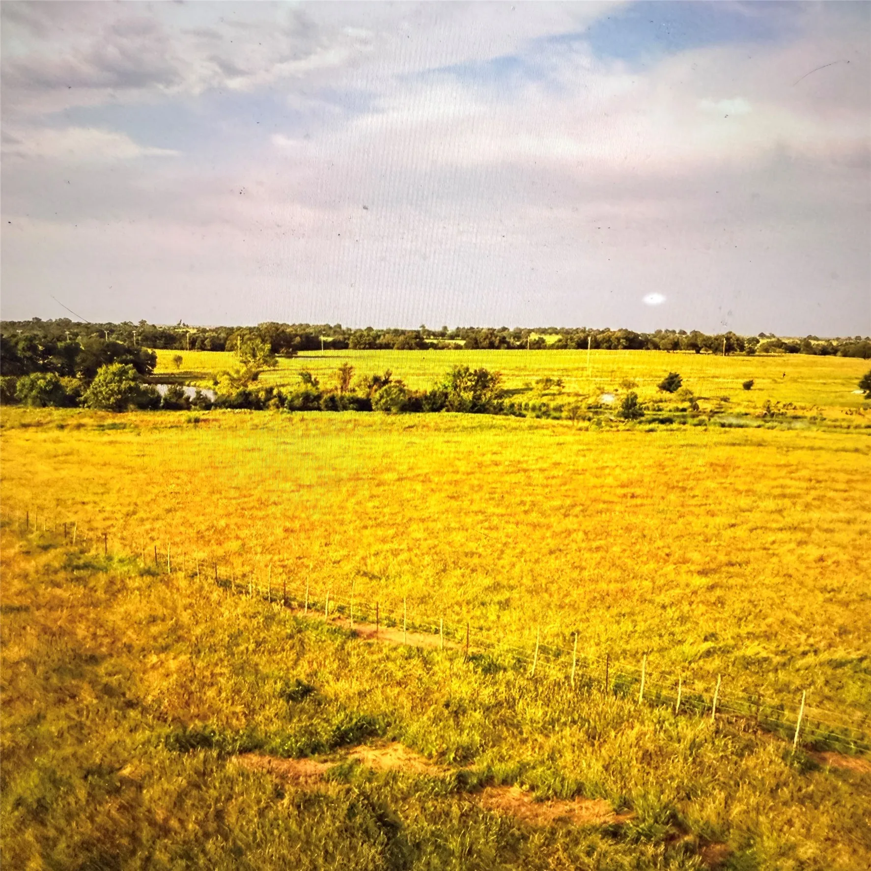 Unimproved Land For Sale in Palo Pinto County , 125 Long View, Mineral Wells, Texas 76067, 0, 0, Garage spaces, 0 Sqft, built in 0, mls#21090389, Real Estate Agent in Mineral Wells, Homes For Sale in Palo Pinto county, Homes For Sale in Mineral Wells, Realtor in Mineral Wells Texas, Real Estate Brokerage Independent Realty Texas, Luminita Cordes Realtor