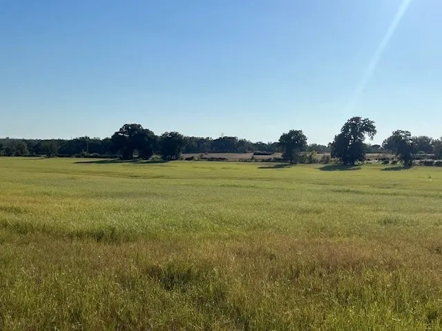 Unimproved Land For Sale in Palo Pinto County , 3733 Fm-52, Graford, Texas 76449, 0, 0, Garage spaces, 0 Sqft, built in 0, mls#21090579, Real Estate Agent in Graford, Homes For Sale in Palo Pinto county, Homes For Sale in Graford, Realtor in Graford Texas, Real Estate Brokerage Independent Realty Texas, Luminita Cordes Realtor
