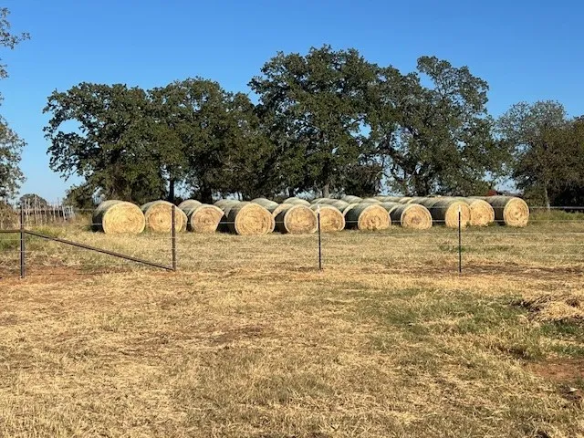 View of yard featuring a view of countryside