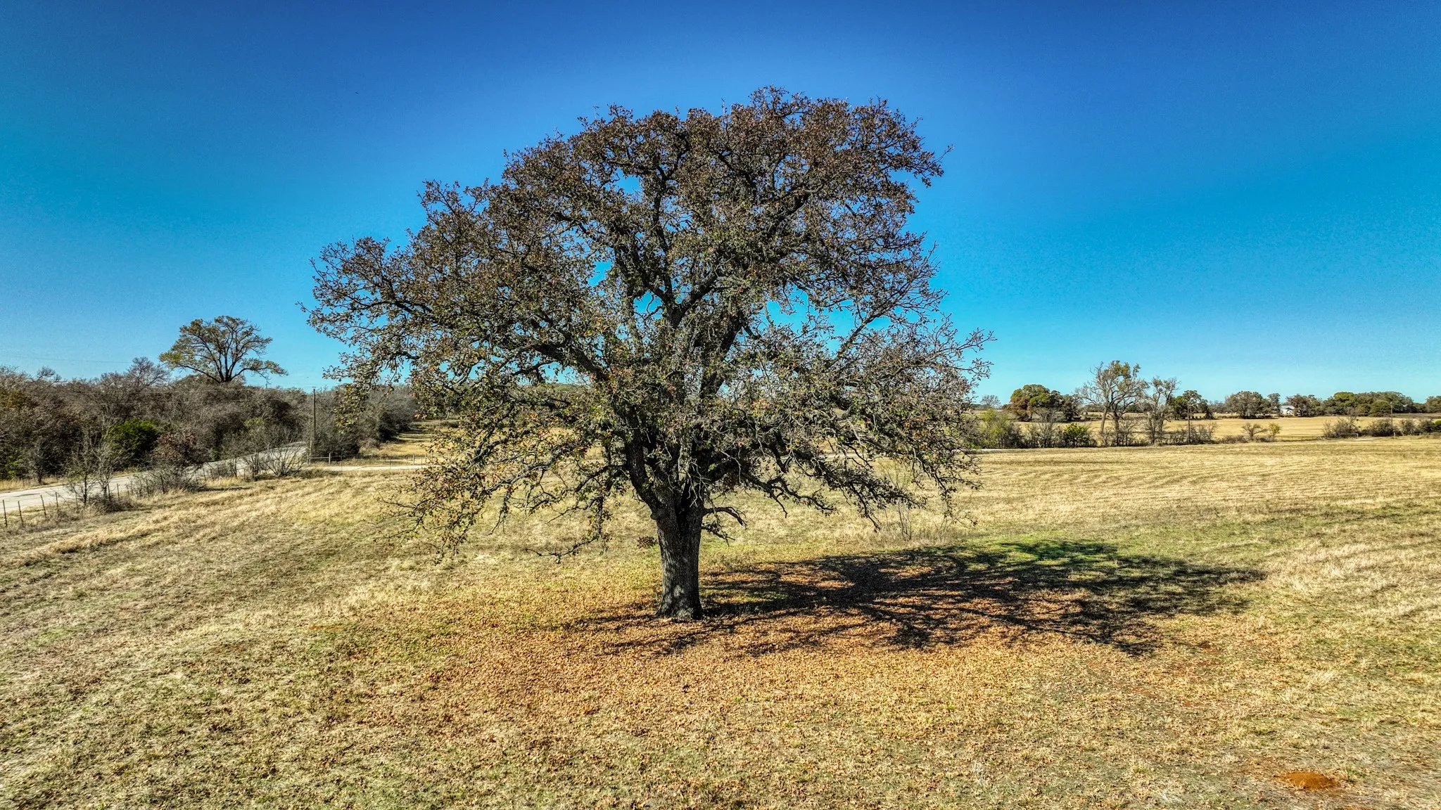 View of local wilderness with rural landscape