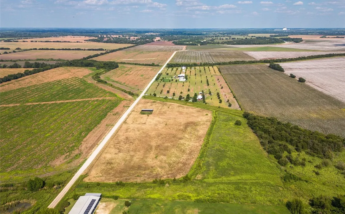 Overview of rural landscape with rows of crops