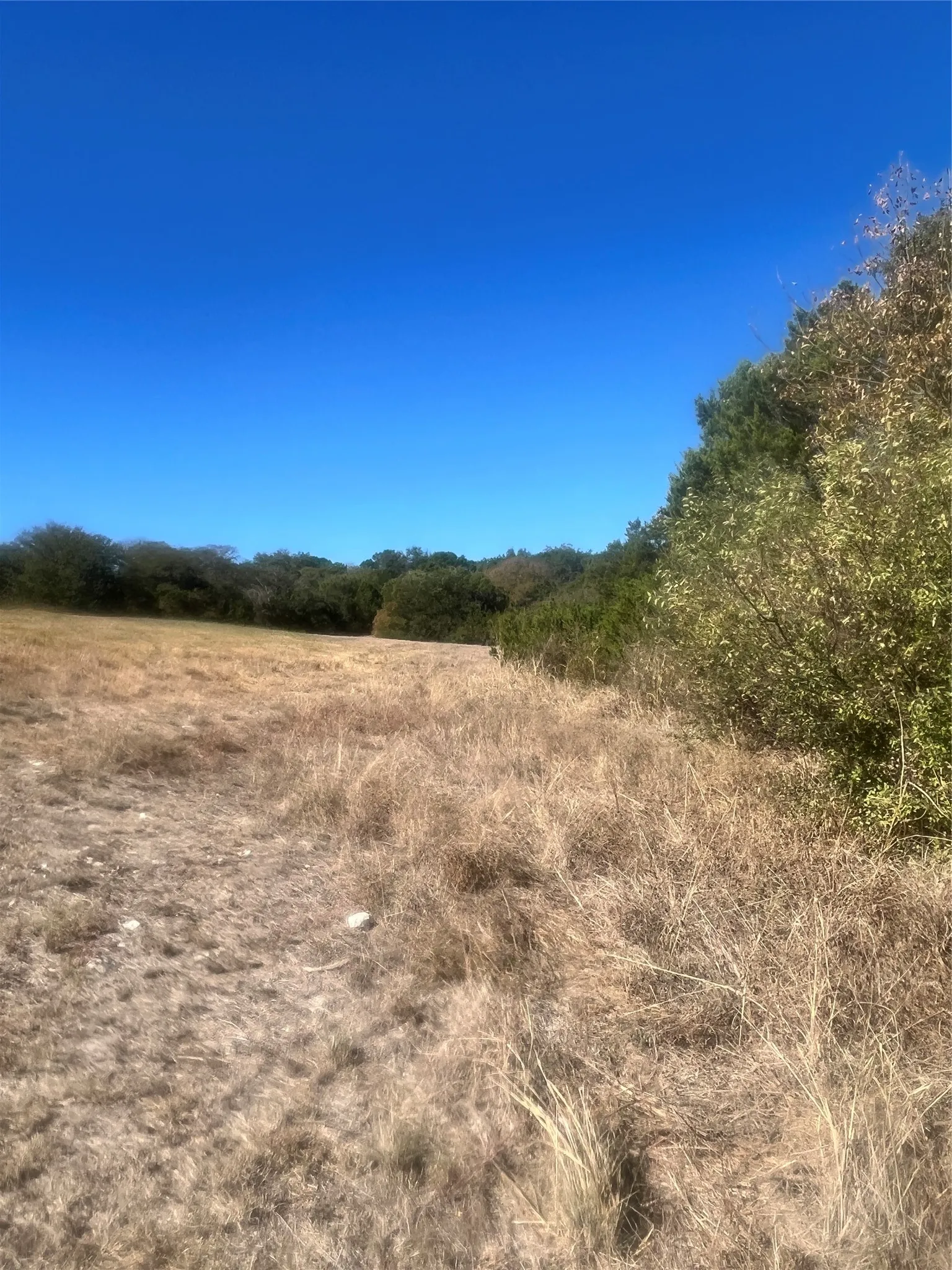 Improved Land For Sale in Johnson County , 8405 Gullane Street, Cleburne, Texas 76033, 0, 0, Garage spaces, 0 Sqft, built in 0, mls#21086599, Real Estate Agent in Cleburne, Homes For Sale in Johnson county, Homes For Sale in Cleburne, Realtor in Cleburne Texas, Real Estate Brokerage Independent Realty Texas, Luminita Cordes Realtor