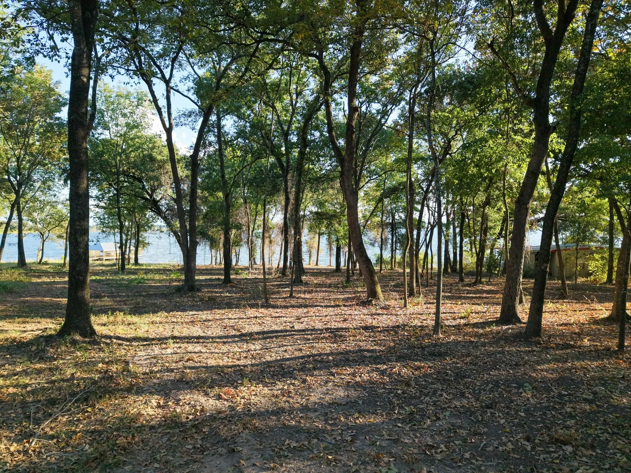 View of local wilderness