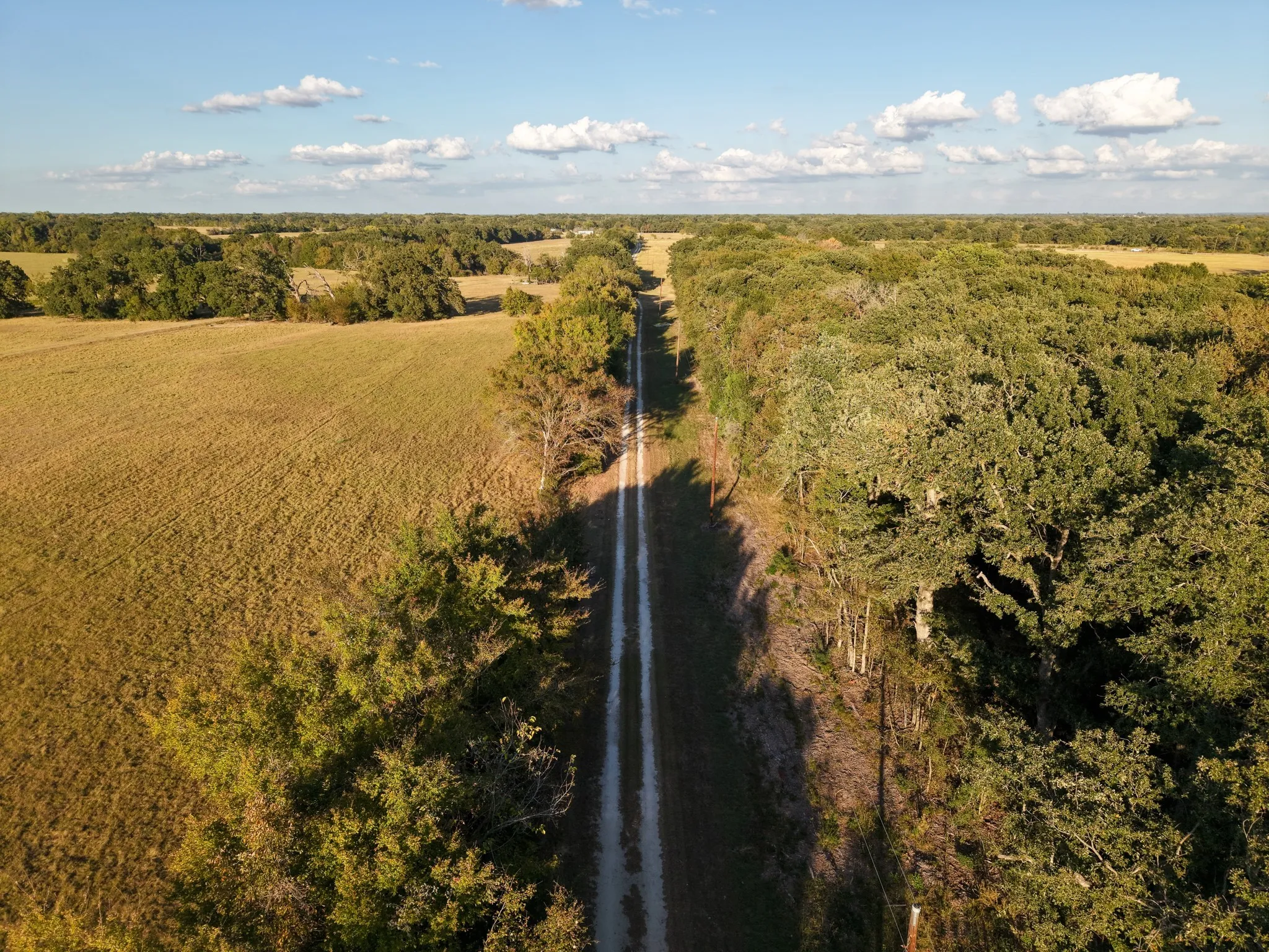 Overview of rural landscape
