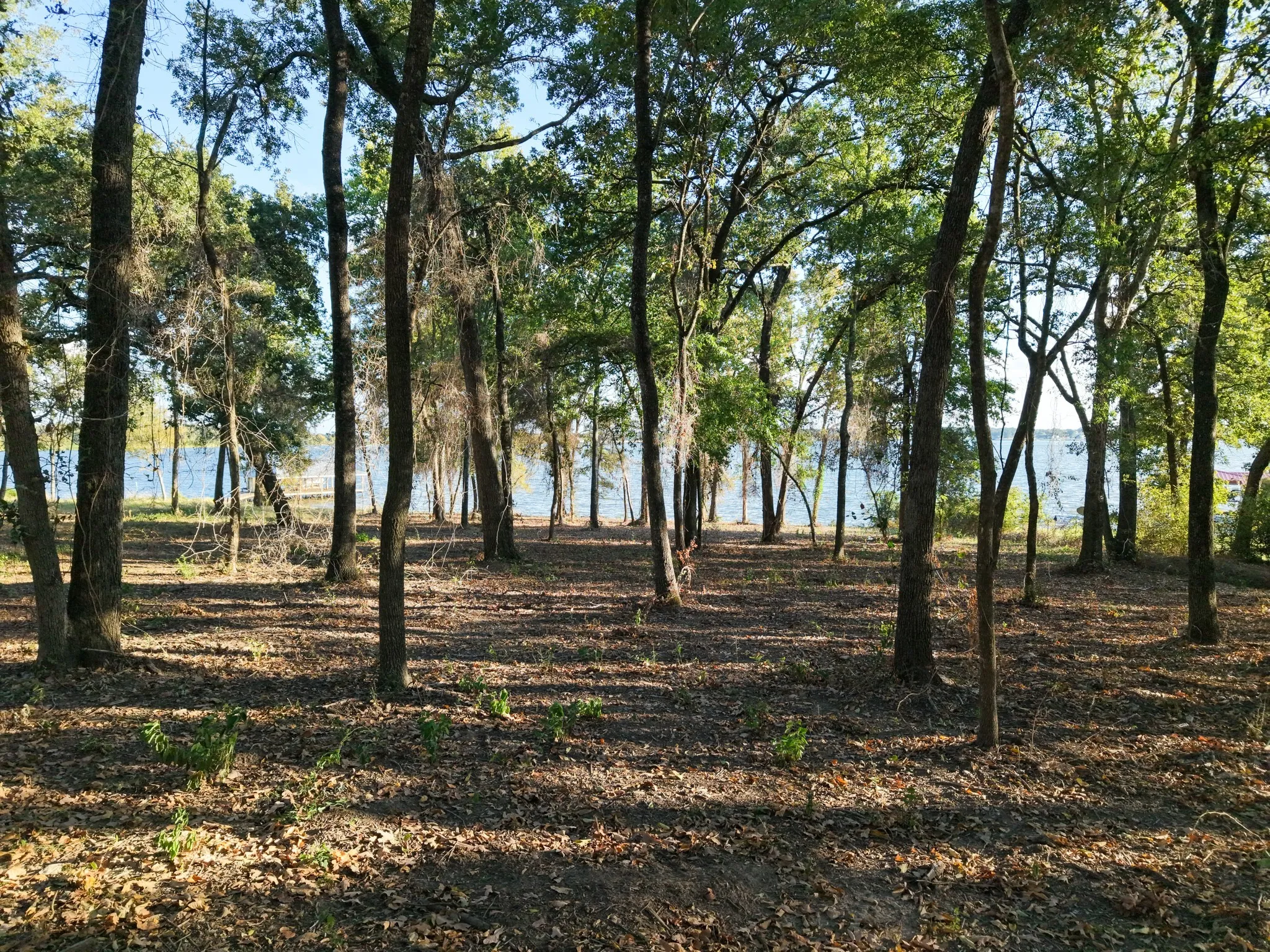 View of local wilderness