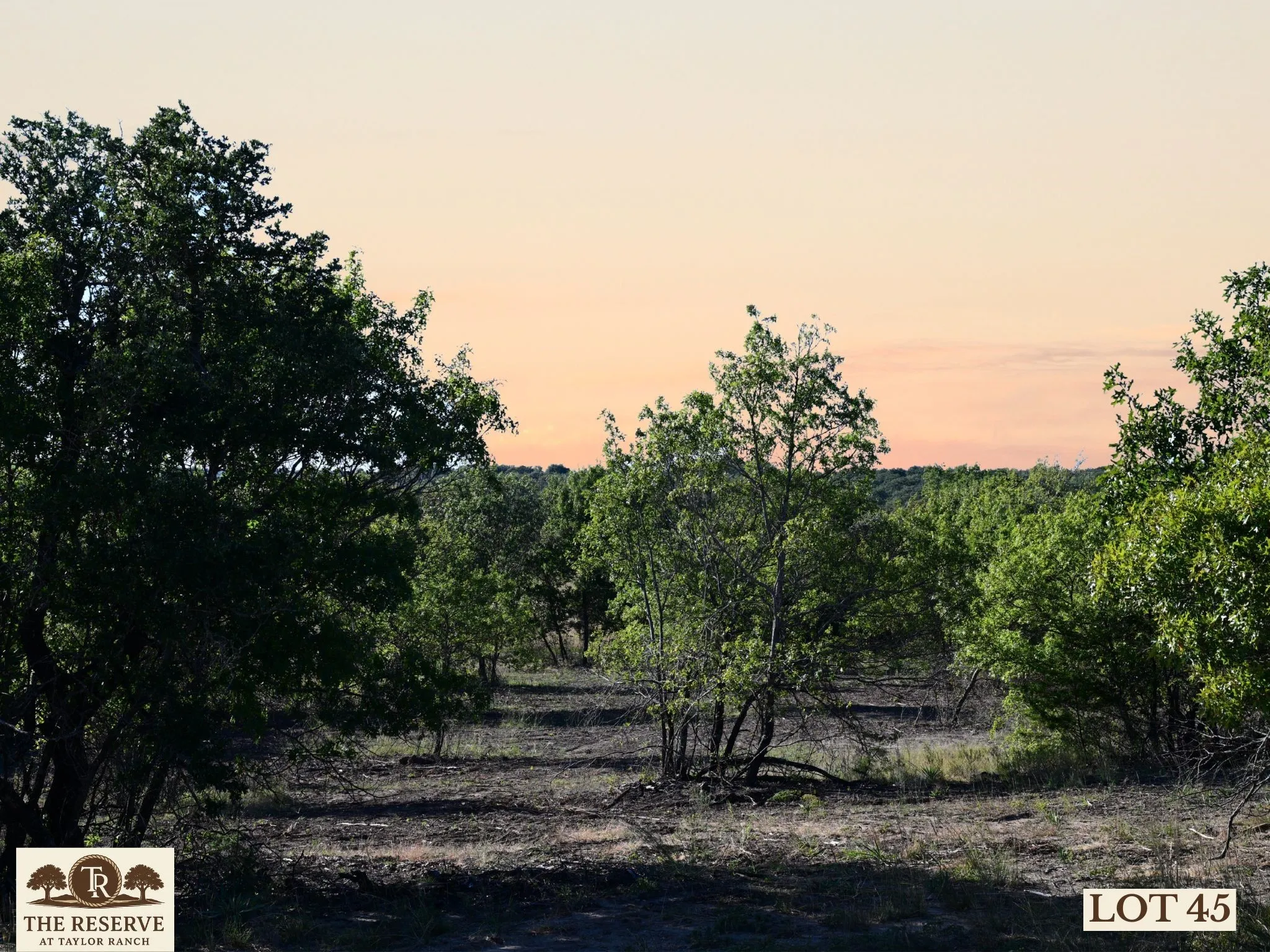 Unimproved Land For Sale in Parker County , Lot 45 Colt Road, Springtown, Texas 76082, 0, 0, Garage spaces, 0 Sqft, built in 0, mls#21091544, Real Estate Agent in Springtown, Homes For Sale in Parker county, Homes For Sale in Springtown, Realtor in Springtown Texas, Real Estate Brokerage Independent Realty Texas, Luminita Cordes Realtor