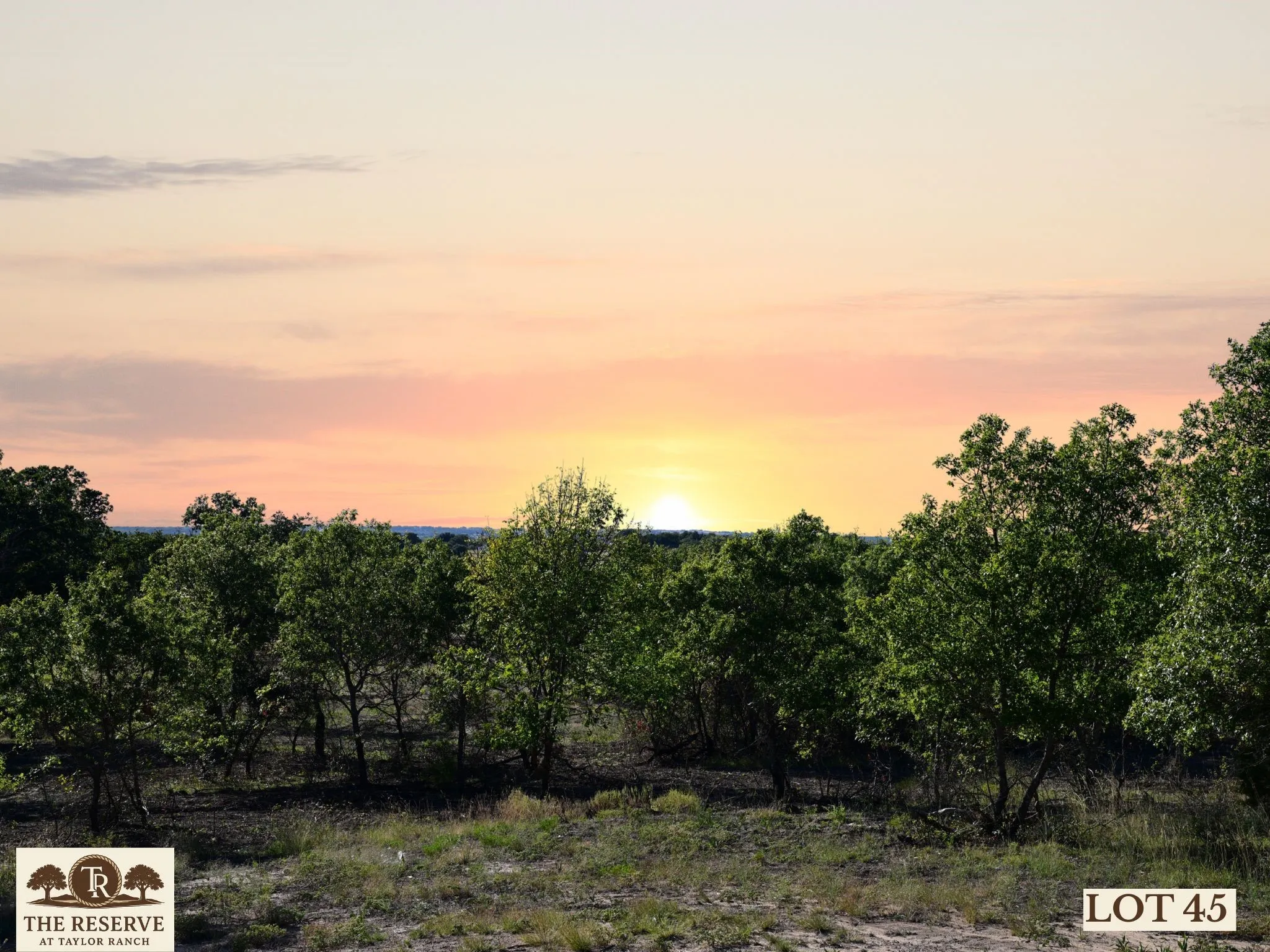 Unimproved Land For Sale in Parker County , Lot 45 Colt Road, Springtown, Texas 76082, 0, 0, Garage spaces, 0 Sqft, built in 0, mls#21091544, Real Estate Agent in Springtown, Homes For Sale in Parker county, Homes For Sale in Springtown, Realtor in Springtown Texas, Real Estate Brokerage Independent Realty Texas, Luminita Cordes Realtor