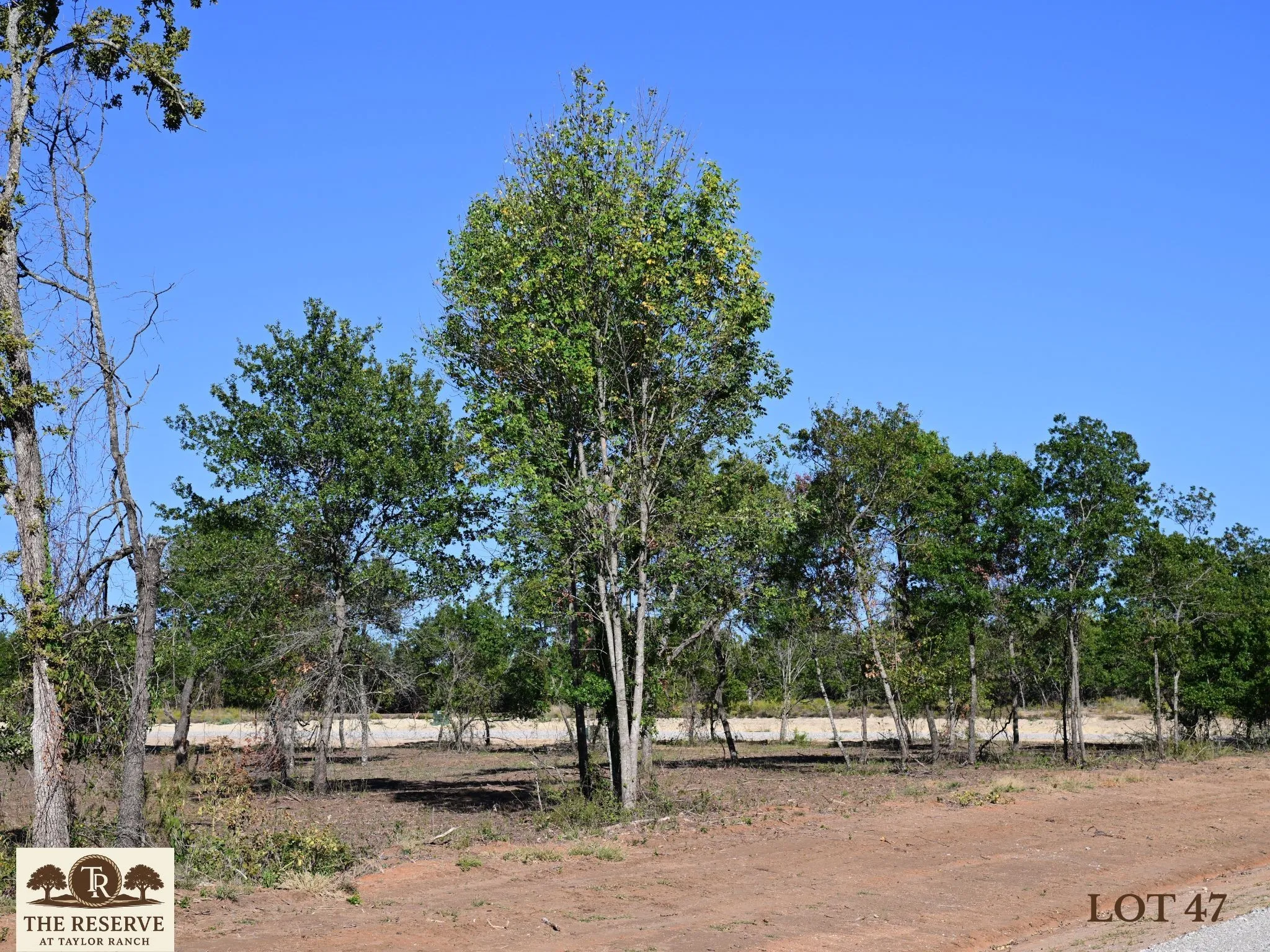 Unimproved Land For Sale in Parker County , Lot 47 Colt Road, Springtown, Texas 76082, 0, 0, Garage spaces, 0 Sqft, built in 0, mls#21091563, Real Estate Agent in Springtown, Homes For Sale in Parker county, Homes For Sale in Springtown, Realtor in Springtown Texas, Real Estate Brokerage Independent Realty Texas, Luminita Cordes Realtor