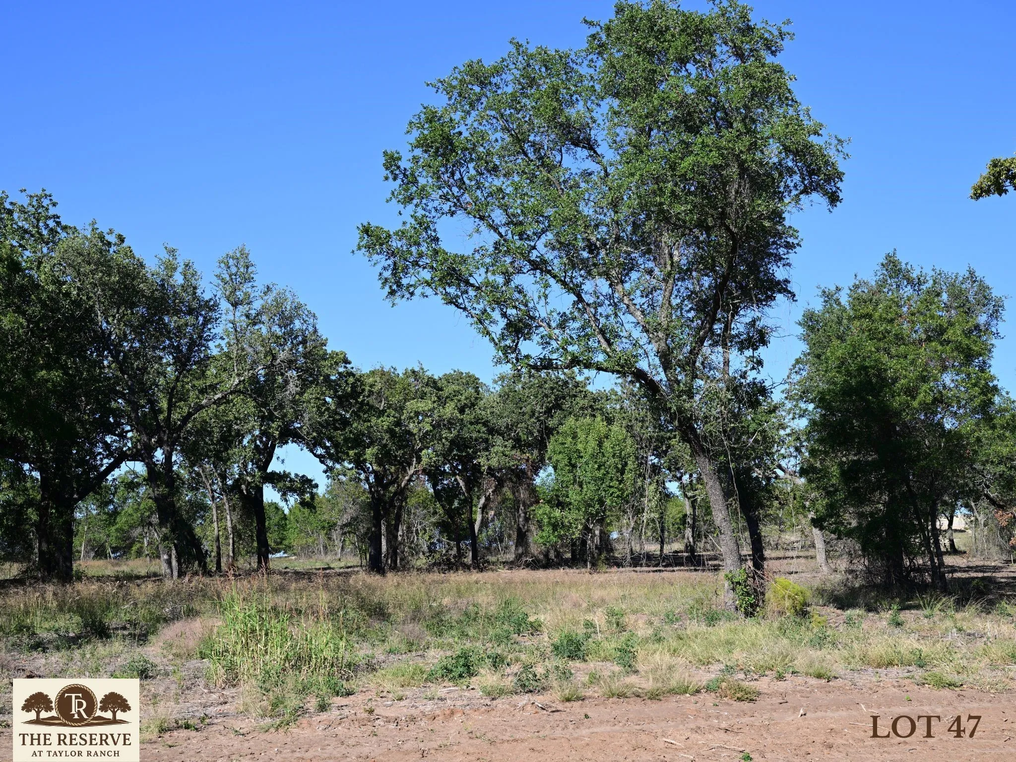 Unimproved Land For Sale in Parker County , Lot 47 Colt Road, Springtown, Texas 76082, 0, 0, Garage spaces, 0 Sqft, built in 0, mls#21091563, Real Estate Agent in Springtown, Homes For Sale in Parker county, Homes For Sale in Springtown, Realtor in Springtown Texas, Real Estate Brokerage Independent Realty Texas, Luminita Cordes Realtor