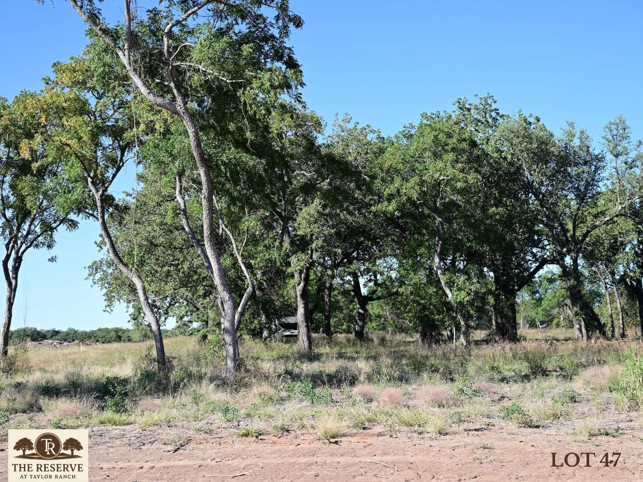 Unimproved Land For Sale in Parker County , Lot 47 Colt Road, Springtown, Texas 76082, 0, 0, Garage spaces, 0 Sqft, built in 0, mls#21091563, Real Estate Agent in Springtown, Homes For Sale in Parker county, Homes For Sale in Springtown, Realtor in Springtown Texas, Real Estate Brokerage Independent Realty Texas, Luminita Cordes Realtor