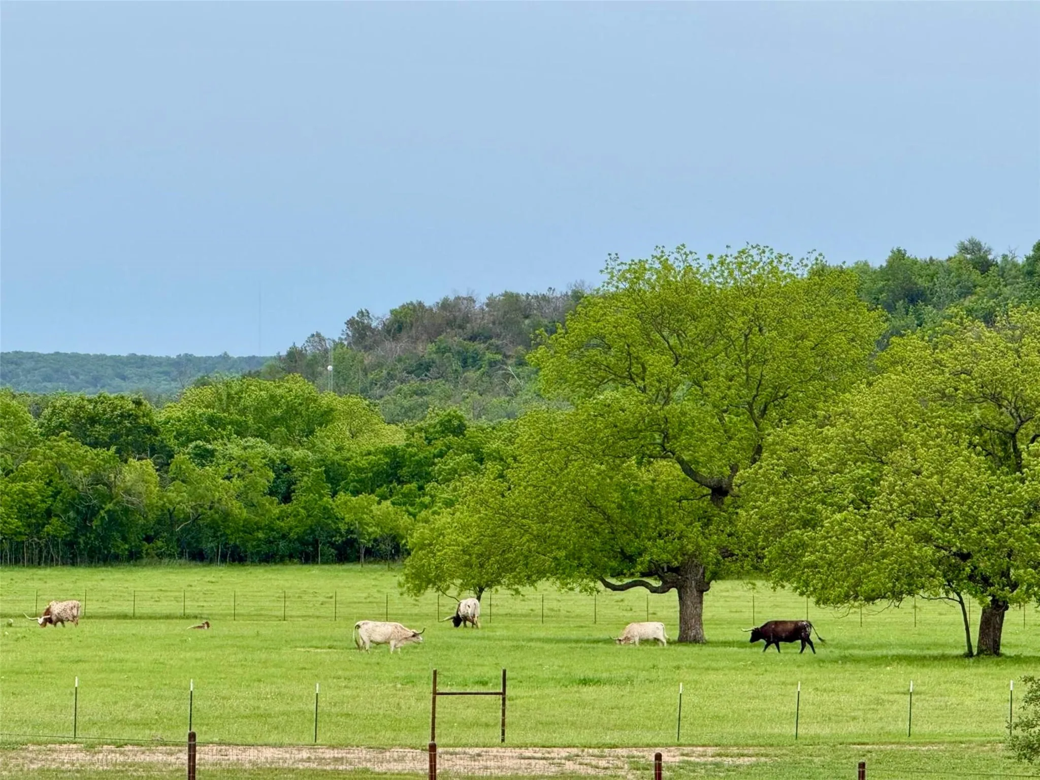 Single Family Residence For Sale in Erath County , 4658 County Road 163, Stephenville, Texas 76401, 9 Bedrooms, 14 Bathrooms, 3 Garage spaces, 9,591 Sqft, built in 2013, Preowned, Price $9,250,000, mls#21091703, Real Estate Agent in Stephenville, Homes For Sale in Erath county, Homes For Sale in Stephenville, Realtor in Stephenville Texas, Real Estate Brokerage Independent Realty Texas, Luminita Cordes Realtor