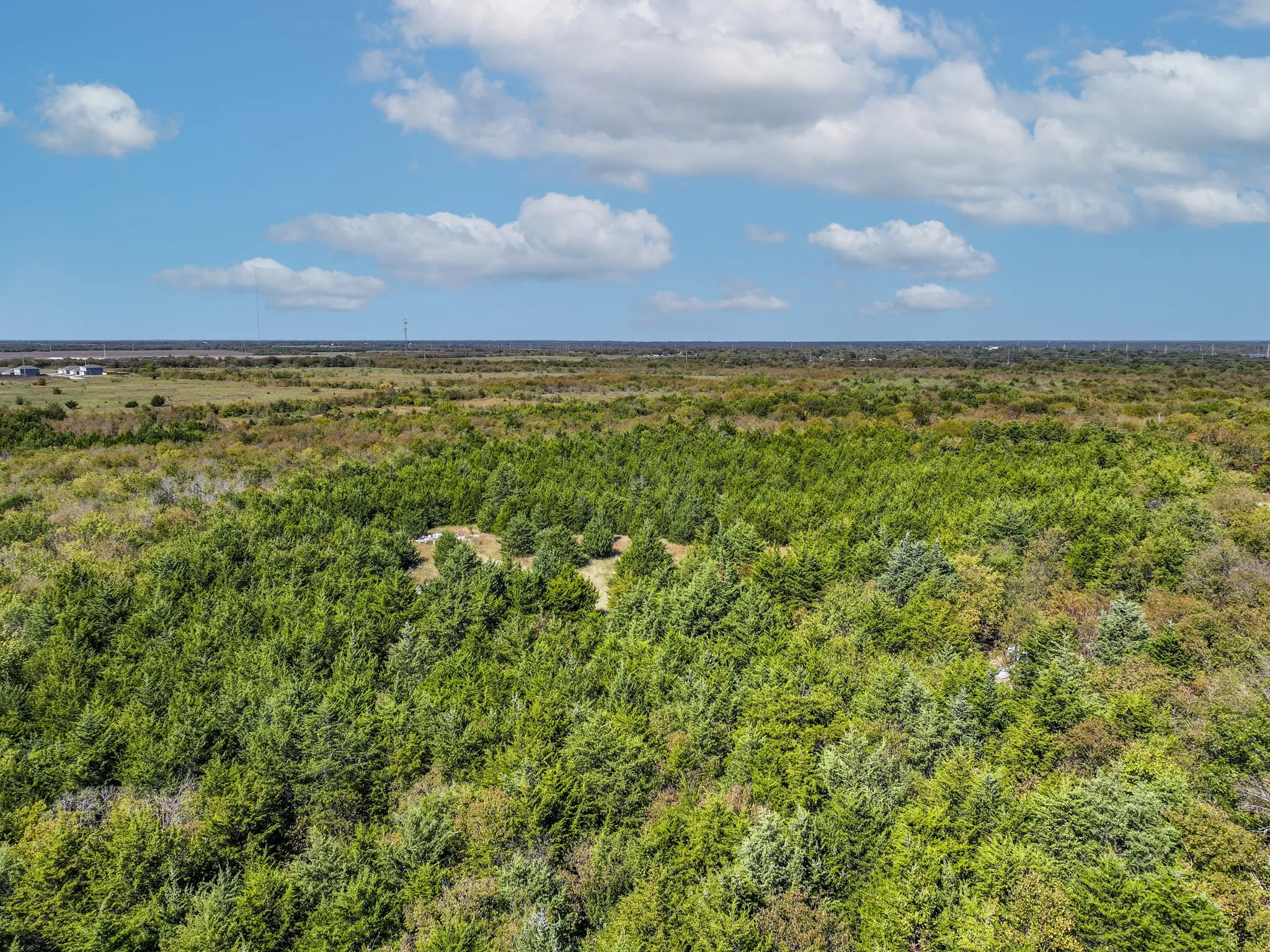 Unimproved Land For Sale in Hunt County , 1500 Wellington Street, Greenville, Texas 75401, 0, 0, Garage spaces, 0 Sqft, built in 0, mls#21088709, Real Estate Agent in Greenville, Homes For Sale in Hunt county, Homes For Sale in Greenville, Realtor in Greenville Texas, Real Estate Brokerage Independent Realty Texas, Luminita Cordes Realtor