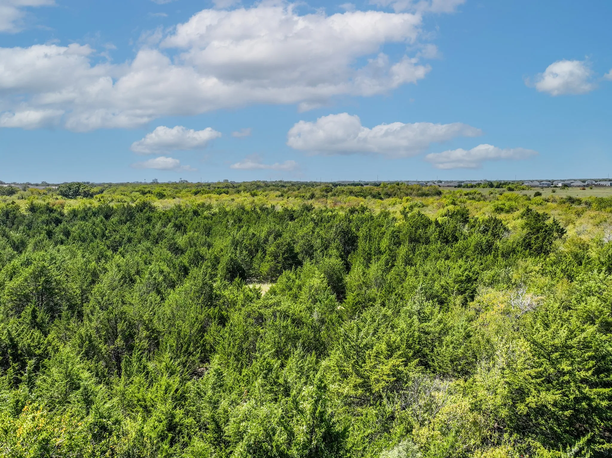 Unimproved Land For Sale in Hunt County , 1500 Wellington Street, Greenville, Texas 75401, 0, 0, Garage spaces, 0 Sqft, built in 0, mls#21088709, Real Estate Agent in Greenville, Homes For Sale in Hunt county, Homes For Sale in Greenville, Realtor in Greenville Texas, Real Estate Brokerage Independent Realty Texas, Luminita Cordes Realtor