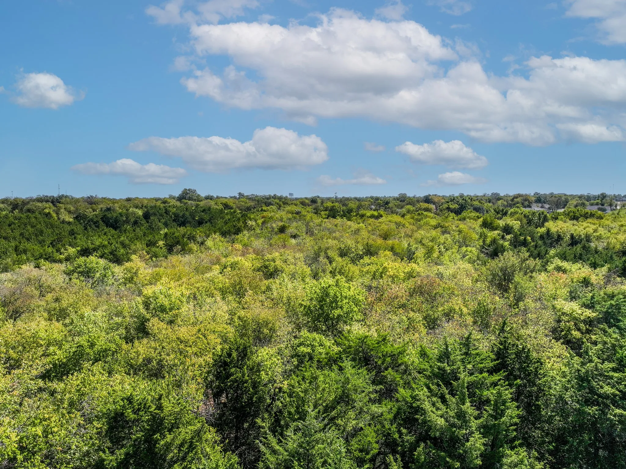 Unimproved Land For Sale in Hunt County , 1500 Wellington Street, Greenville, Texas 75401, 0, 0, Garage spaces, 0 Sqft, built in 0, mls#21088709, Real Estate Agent in Greenville, Homes For Sale in Hunt county, Homes For Sale in Greenville, Realtor in Greenville Texas, Real Estate Brokerage Independent Realty Texas, Luminita Cordes Realtor
