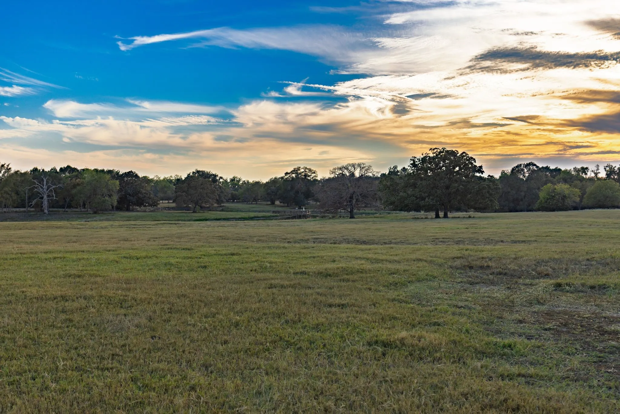 beautiful pastures