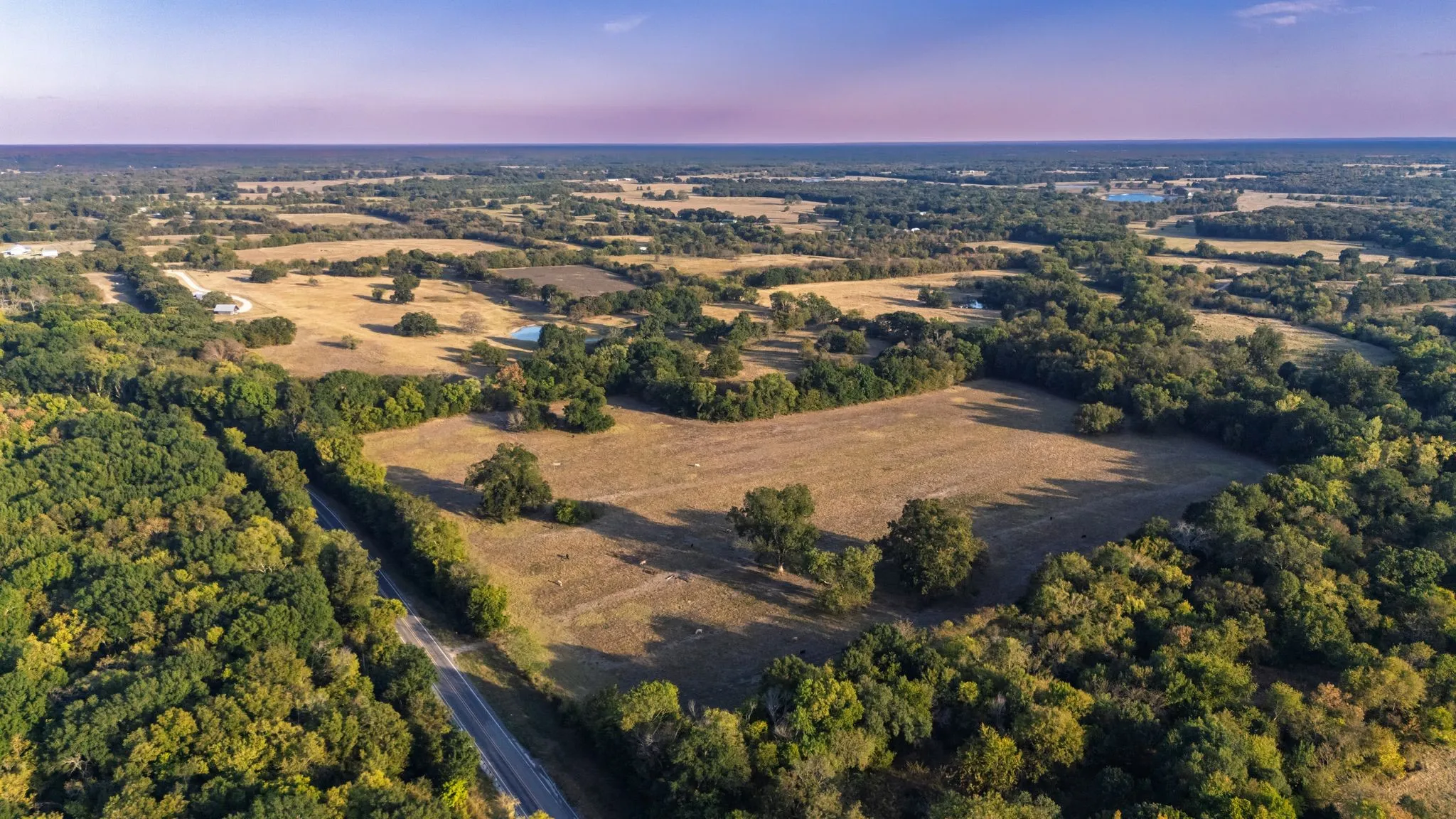 FM highway frontage pasture and hay meadow.