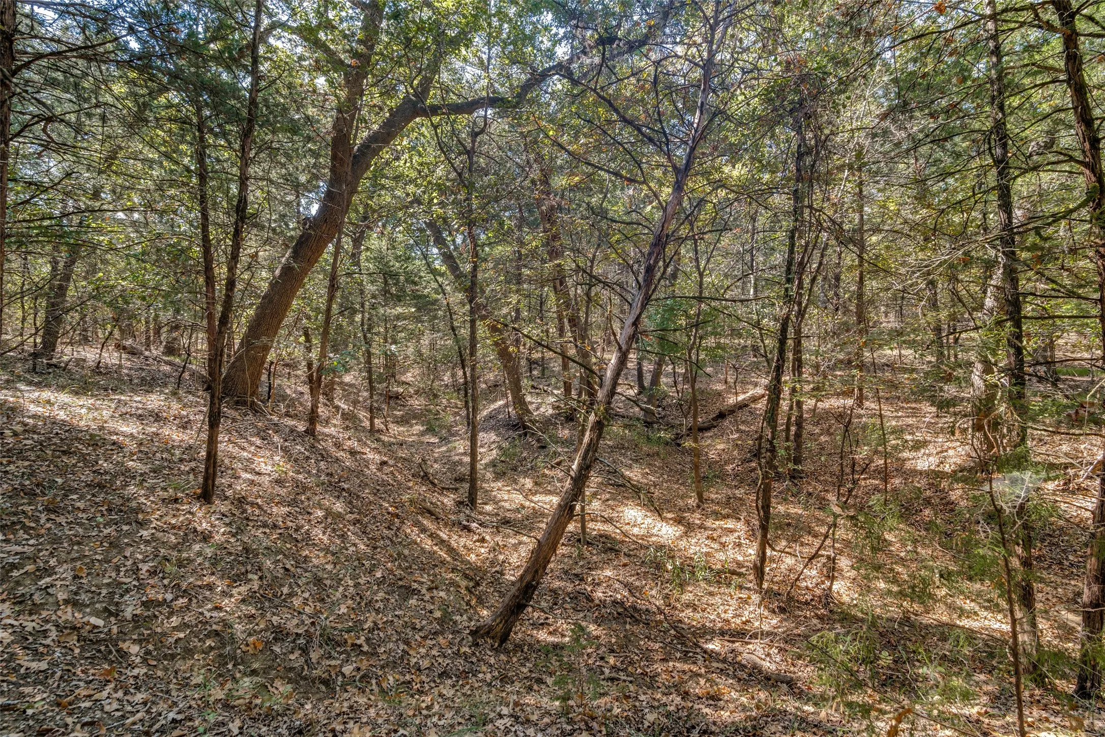 Improved Land For Sale in Navarro County , 16020 SE County Road 2359b, Streetman, Texas 75859, 0, 0, Garage spaces, 0 Sqft, built in 0, mls#21092109, Real Estate Agent in Streetman, Homes For Sale in Navarro county, Homes For Sale in Streetman, Realtor in Streetman Texas, Real Estate Brokerage Independent Realty Texas, Luminita Cordes Realtor