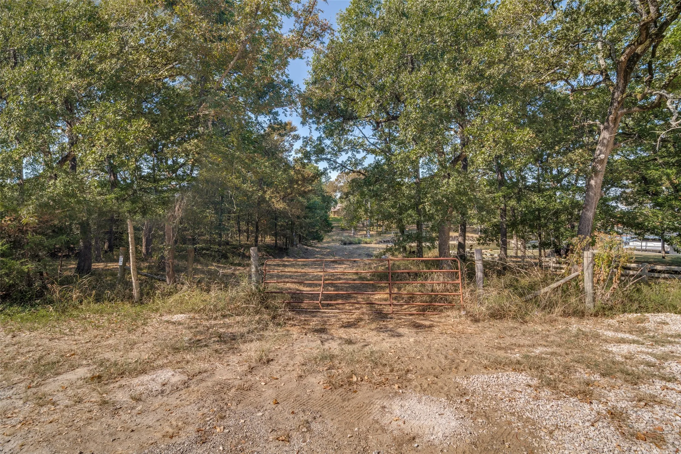 Improved Land For Sale in Navarro County , 16020 SE County Road 2359b, Streetman, Texas 75859, 0, 0, Garage spaces, 0 Sqft, built in 0, mls#21092109, Real Estate Agent in Streetman, Homes For Sale in Navarro county, Homes For Sale in Streetman, Realtor in Streetman Texas, Real Estate Brokerage Independent Realty Texas, Luminita Cordes Realtor