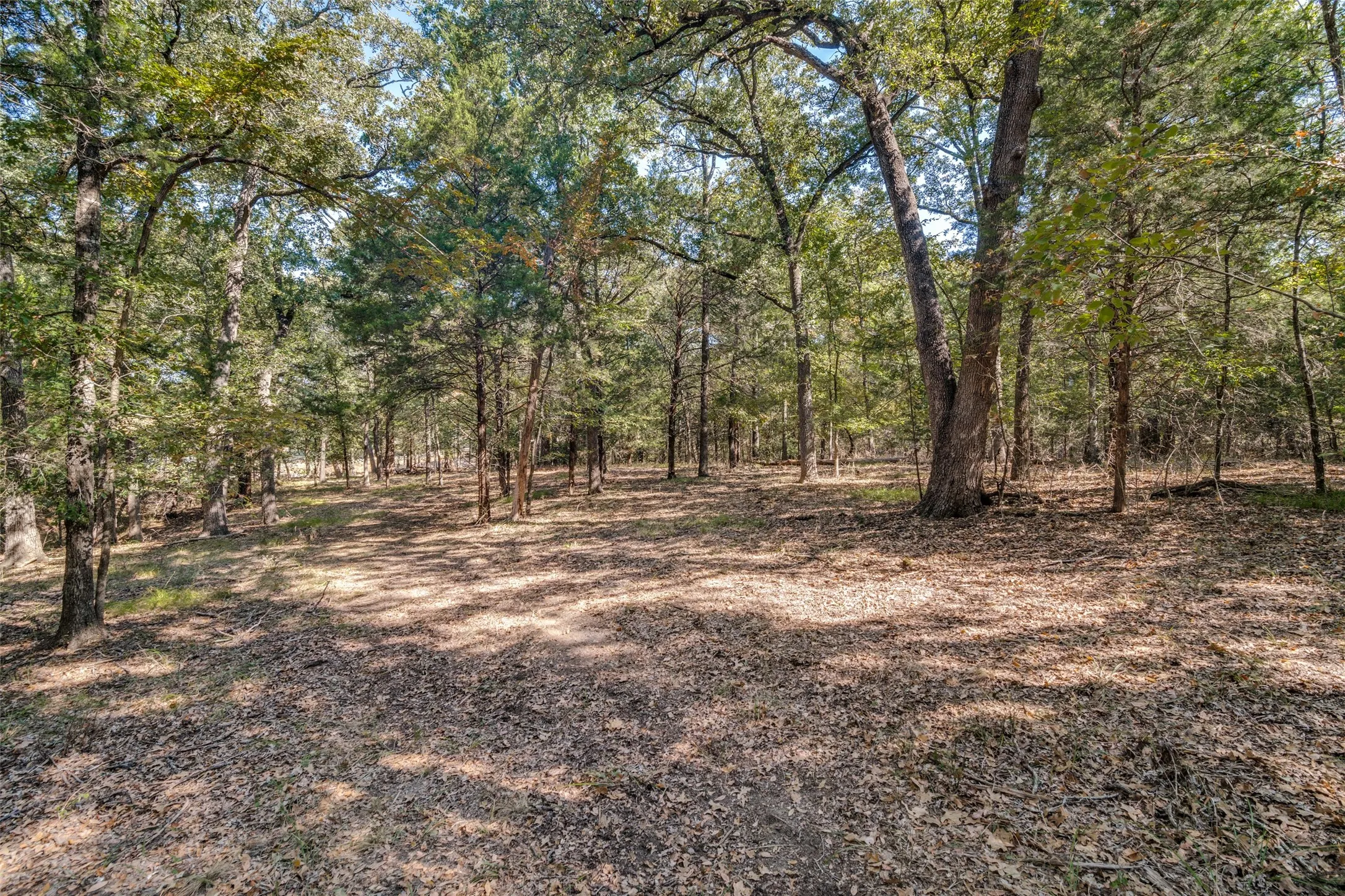 Improved Land For Sale in Navarro County , 16020 SE County Road 2359b, Streetman, Texas 75859, 0, 0, Garage spaces, 0 Sqft, built in 0, mls#21092109, Real Estate Agent in Streetman, Homes For Sale in Navarro county, Homes For Sale in Streetman, Realtor in Streetman Texas, Real Estate Brokerage Independent Realty Texas, Luminita Cordes Realtor