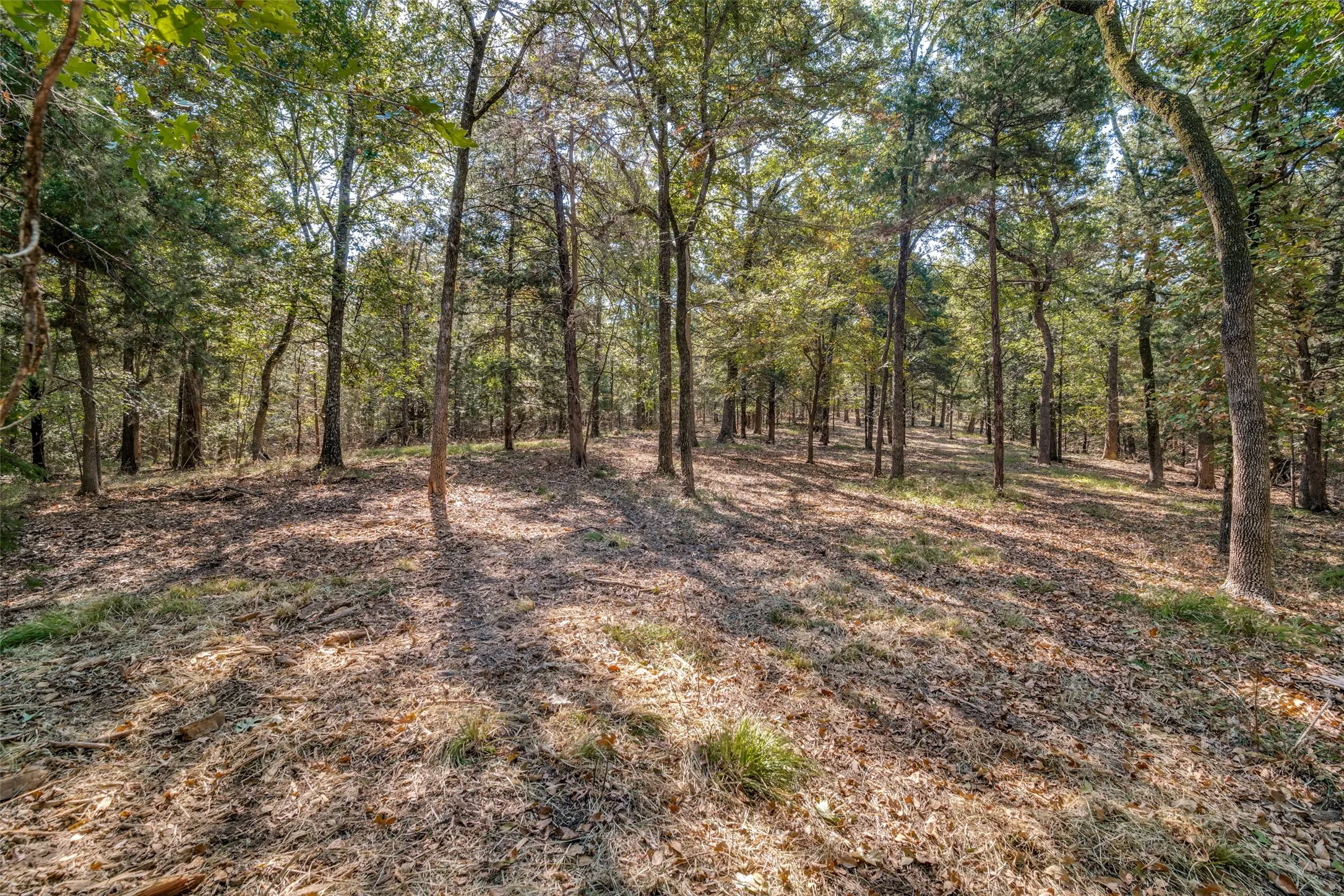 Improved Land For Sale in Navarro County , 16020 SE County Road 2359b, Streetman, Texas 75859, 0, 0, Garage spaces, 0 Sqft, built in 0, mls#21092109, Real Estate Agent in Streetman, Homes For Sale in Navarro county, Homes For Sale in Streetman, Realtor in Streetman Texas, Real Estate Brokerage Independent Realty Texas, Luminita Cordes Realtor