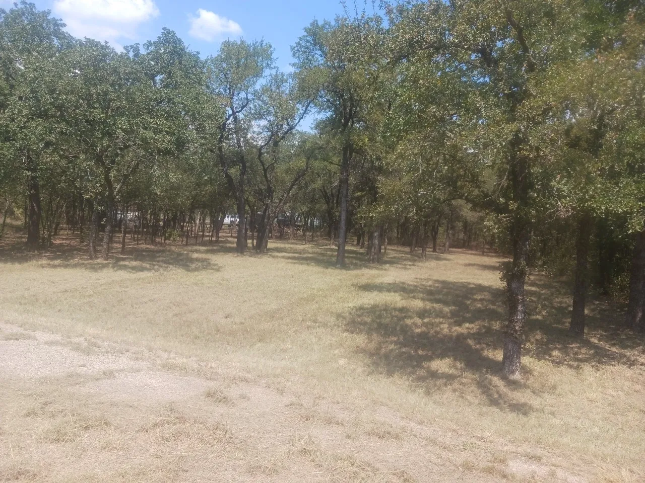 Unimproved Land For Sale in Wise County , 0 Woodway Court 7A, Bridgeport, Texas 76426, 0, 0, Garage spaces, 0 Sqft, built in 0, mls#21085691, Real Estate Agent in Bridgeport, Homes For Sale in Wise county, Homes For Sale in Bridgeport, Realtor in Bridgeport Texas, Real Estate Brokerage Independent Realty Texas, Luminita Cordes Realtor