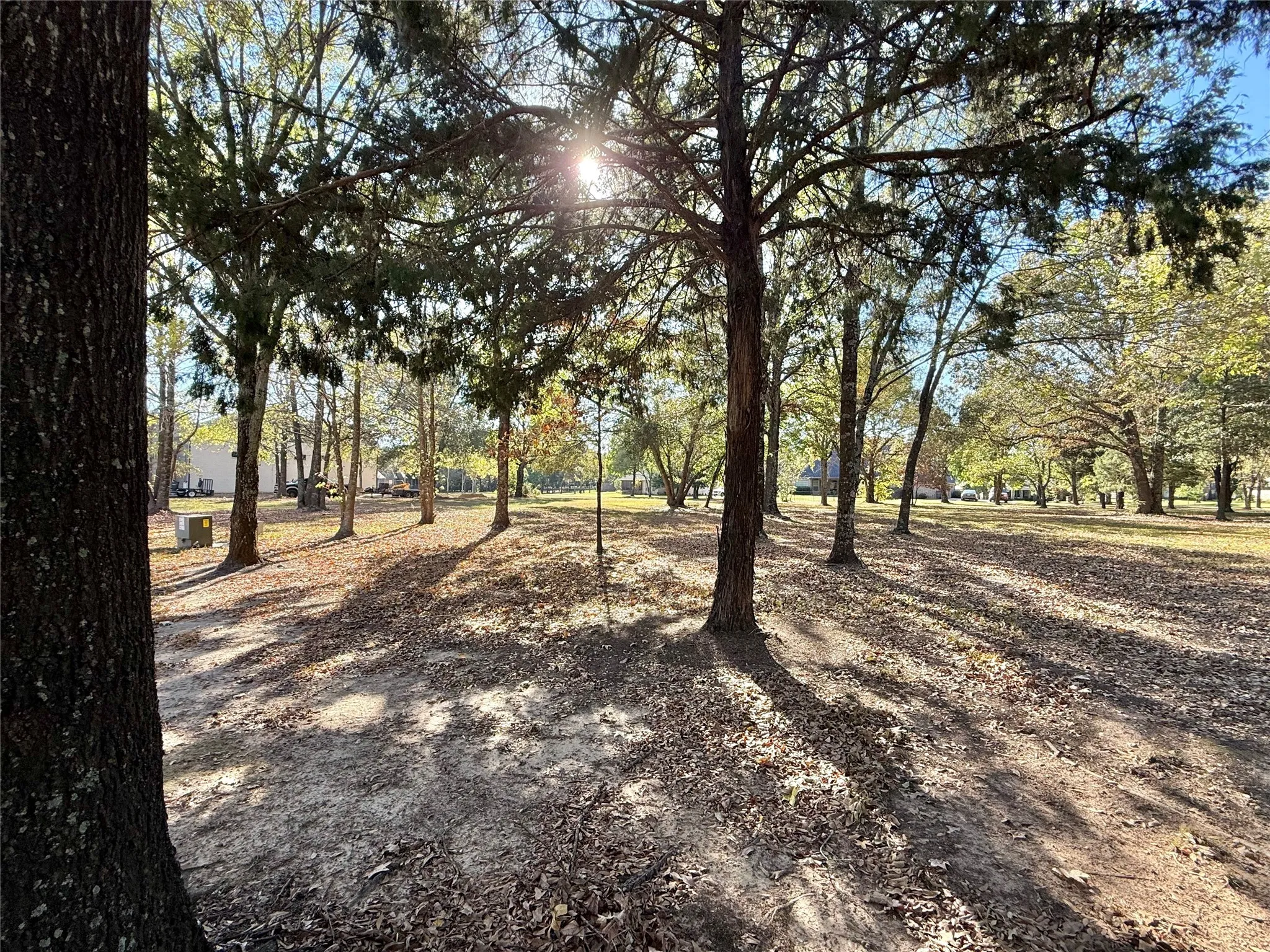 Unimproved Land For Sale in Wood County , 0000 Private Road 5943, Yantis, Texas 75497, 0, 0, Garage spaces, 0 Sqft, built in 0, mls#21092445, Real Estate Agent in Yantis, Homes For Sale in Wood county, Homes For Sale in Yantis, Realtor in Yantis Texas, Real Estate Brokerage Independent Realty Texas, Luminita Cordes Realtor