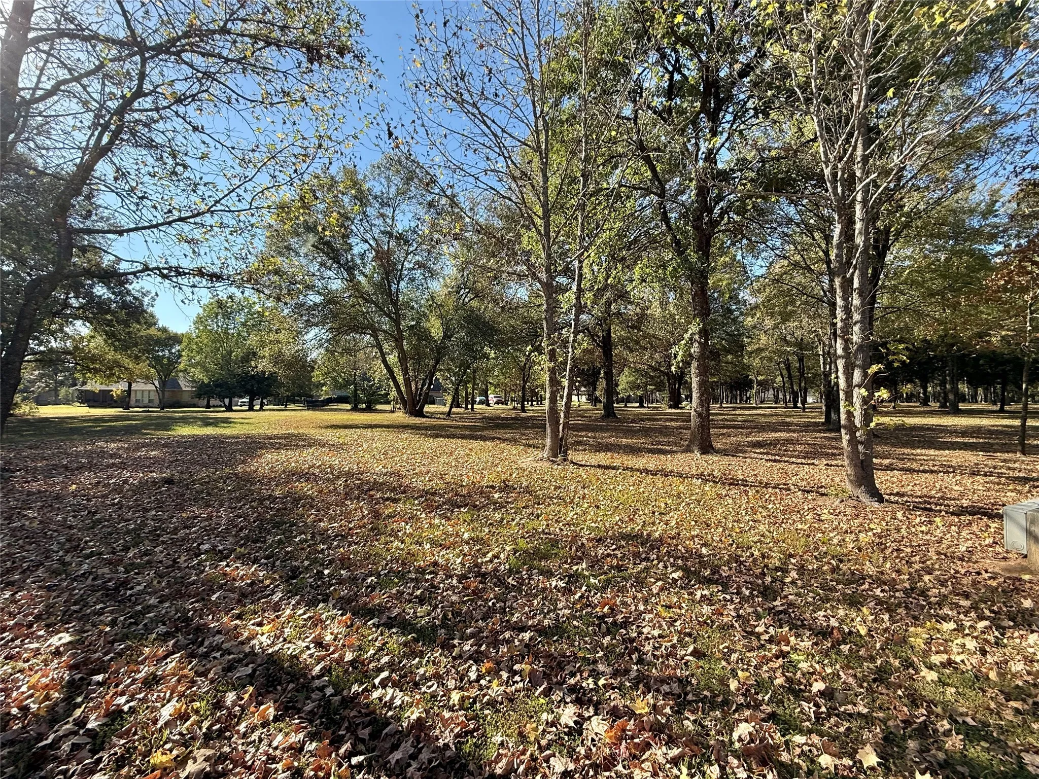 Unimproved Land For Sale in Wood County , 0000 Private Road 5943, Yantis, Texas 75497, 0, 0, Garage spaces, 0 Sqft, built in 0, mls#21092445, Real Estate Agent in Yantis, Homes For Sale in Wood county, Homes For Sale in Yantis, Realtor in Yantis Texas, Real Estate Brokerage Independent Realty Texas, Luminita Cordes Realtor