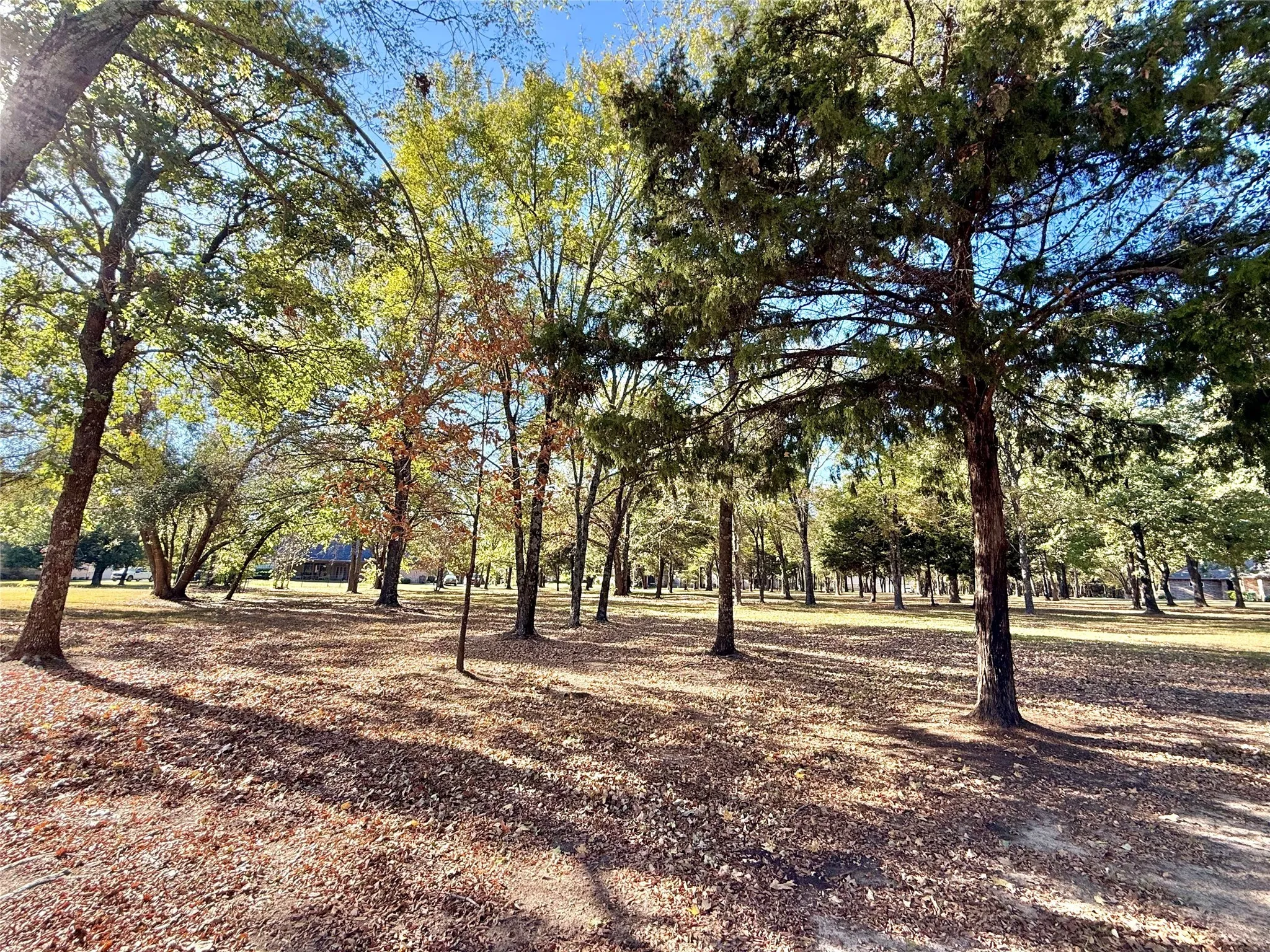 Unimproved Land For Sale in Wood County , 0000 Private Road 5943, Yantis, Texas 75497, 0, 0, Garage spaces, 0 Sqft, built in 0, mls#21092445, Real Estate Agent in Yantis, Homes For Sale in Wood county, Homes For Sale in Yantis, Realtor in Yantis Texas, Real Estate Brokerage Independent Realty Texas, Luminita Cordes Realtor