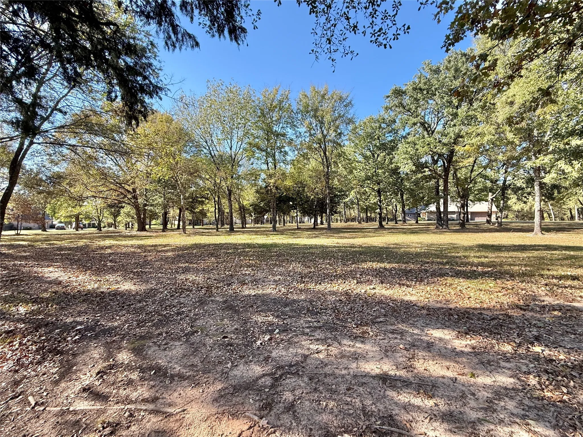 Unimproved Land For Sale in Wood County , 0000 Private Road 5943, Yantis, Texas 75497, 0, 0, Garage spaces, 0 Sqft, built in 0, mls#21092445, Real Estate Agent in Yantis, Homes For Sale in Wood county, Homes For Sale in Yantis, Realtor in Yantis Texas, Real Estate Brokerage Independent Realty Texas, Luminita Cordes Realtor