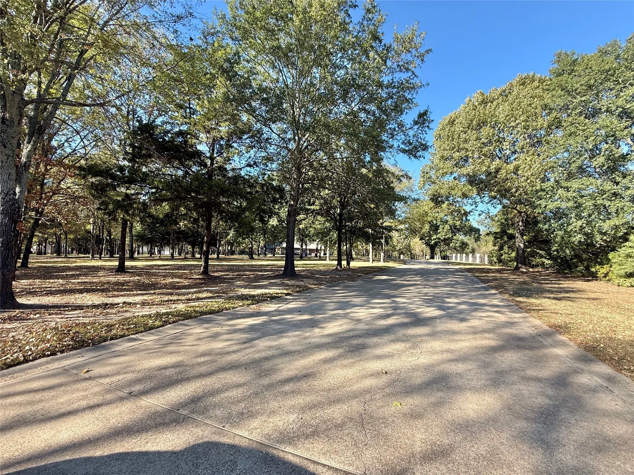 Unimproved Land For Sale in Wood County , 0000 Private Road 5943, Yantis, Texas 75497, 0, 0, Garage spaces, 0 Sqft, built in 0, mls#21092445, Real Estate Agent in Yantis, Homes For Sale in Wood county, Homes For Sale in Yantis, Realtor in Yantis Texas, Real Estate Brokerage Independent Realty Texas, Luminita Cordes Realtor