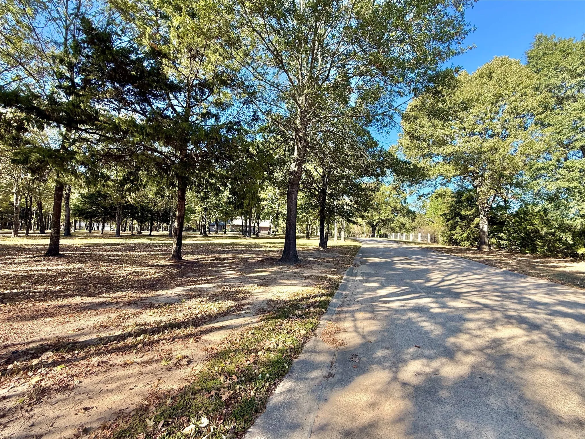 Unimproved Land For Sale in Wood County , 0000 Private Road 5943, Yantis, Texas 75497, 0, 0, Garage spaces, 0 Sqft, built in 0, mls#21092445, Real Estate Agent in Yantis, Homes For Sale in Wood county, Homes For Sale in Yantis, Realtor in Yantis Texas, Real Estate Brokerage Independent Realty Texas, Luminita Cordes Realtor