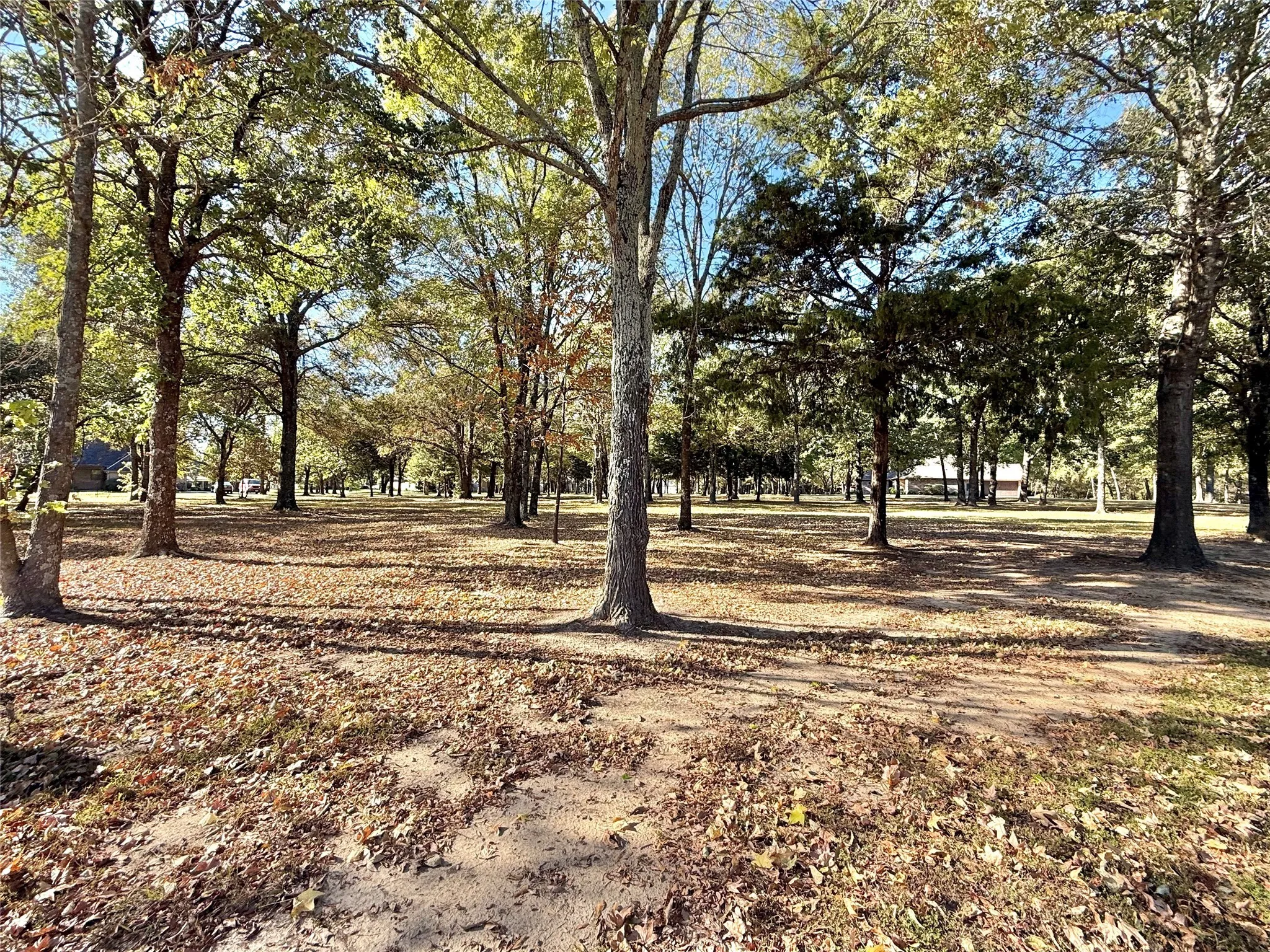 Improved Land For Sale in Wood County , TBD Private Road 5943, Yantis, Texas 75497, 0, 0, Garage spaces, 0 Sqft, built in 0, mls#21092558, Real Estate Agent in Yantis, Homes For Sale in Wood county, Homes For Sale in Yantis, Realtor in Yantis Texas, Real Estate Brokerage Independent Realty Texas, Luminita Cordes Realtor
