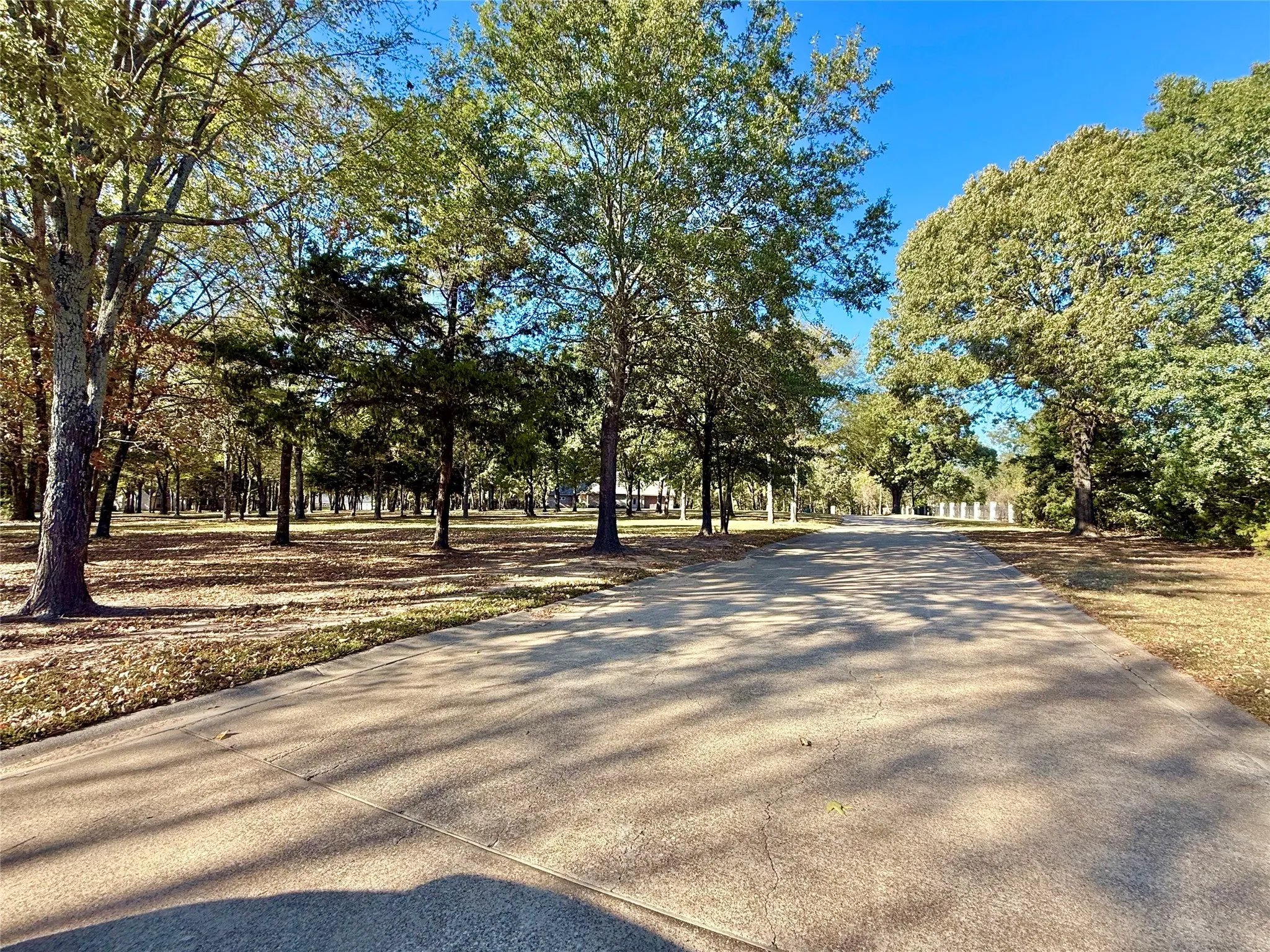 Improved Land For Sale in Wood County , TBD Private Road 5943, Yantis, Texas 75497, 0, 0, Garage spaces, 0 Sqft, built in 0, mls#21092558, Real Estate Agent in Yantis, Homes For Sale in Wood county, Homes For Sale in Yantis, Realtor in Yantis Texas, Real Estate Brokerage Independent Realty Texas, Luminita Cordes Realtor