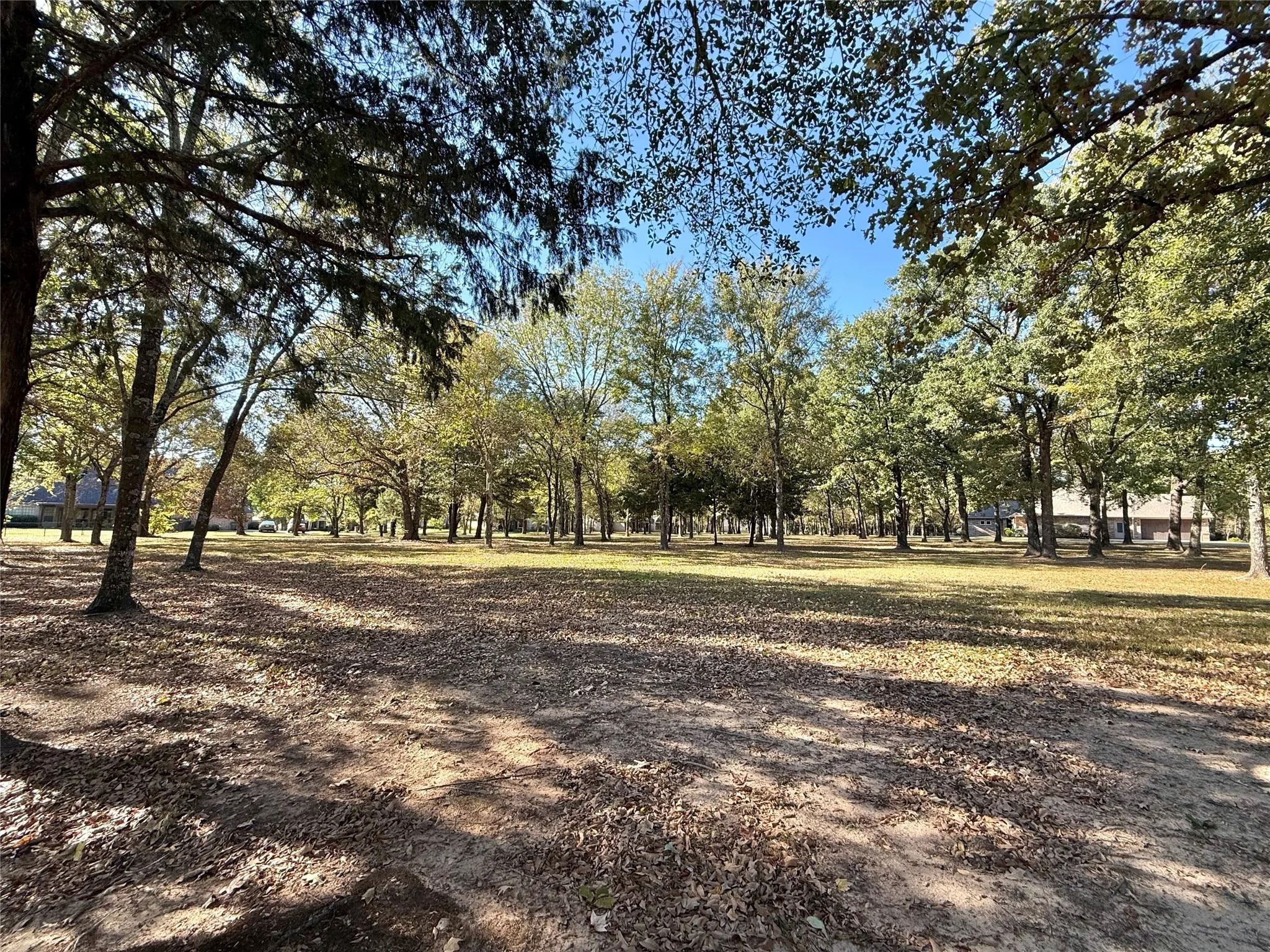 Improved Land For Sale in Wood County , TBD Private Road 5943, Yantis, Texas 75497, 0, 0, Garage spaces, 0 Sqft, built in 0, mls#21092558, Real Estate Agent in Yantis, Homes For Sale in Wood county, Homes For Sale in Yantis, Realtor in Yantis Texas, Real Estate Brokerage Independent Realty Texas, Luminita Cordes Realtor