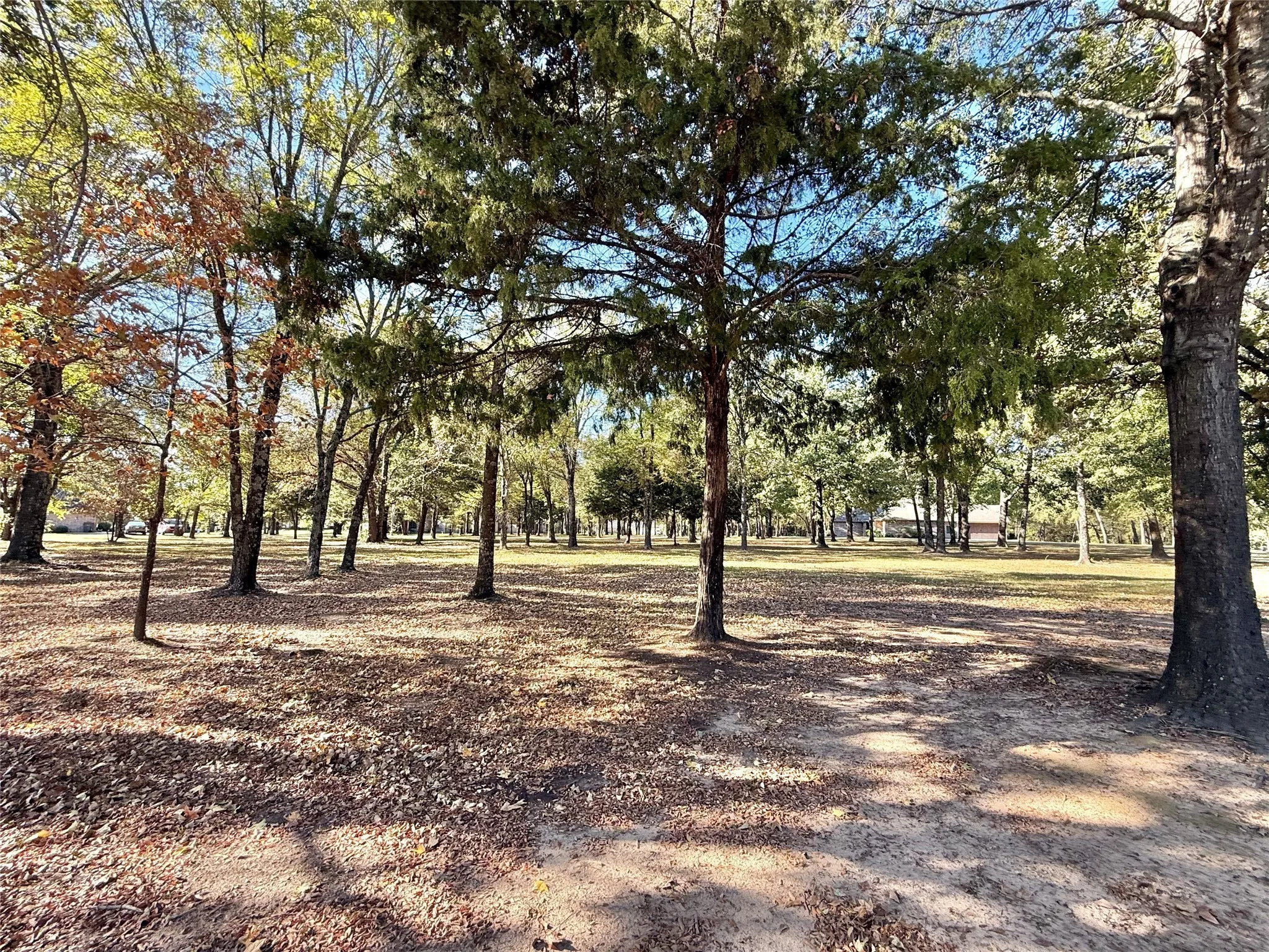 Improved Land For Sale in Wood County , TBD Private Road 5943, Yantis, Texas 75497, 0, 0, Garage spaces, 0 Sqft, built in 0, mls#21092558, Real Estate Agent in Yantis, Homes For Sale in Wood county, Homes For Sale in Yantis, Realtor in Yantis Texas, Real Estate Brokerage Independent Realty Texas, Luminita Cordes Realtor