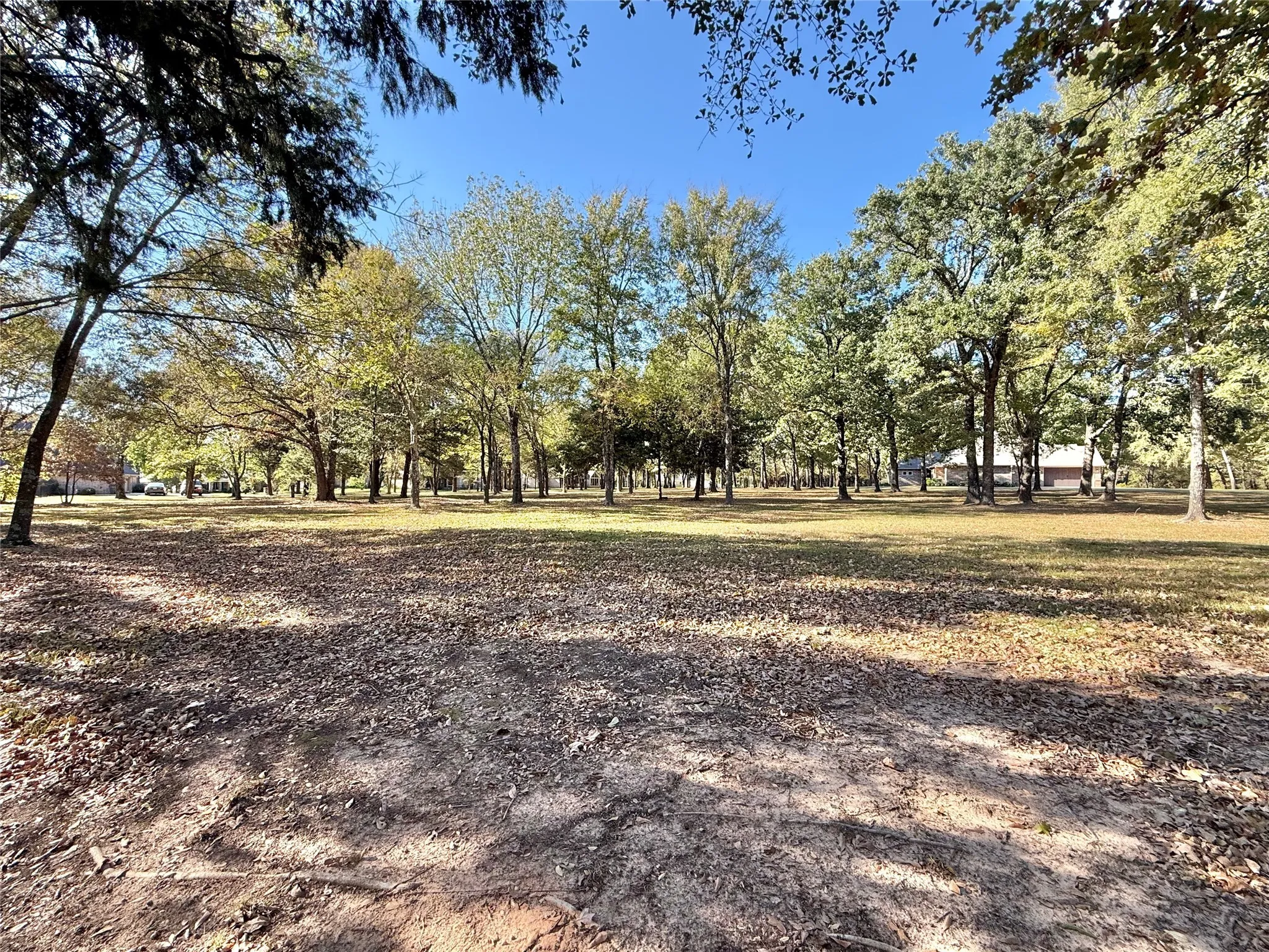Improved Land For Sale in Wood County , TBD Private Road 5943, Yantis, Texas 75497, 0, 0, Garage spaces, 0 Sqft, built in 0, mls#21092558, Real Estate Agent in Yantis, Homes For Sale in Wood county, Homes For Sale in Yantis, Realtor in Yantis Texas, Real Estate Brokerage Independent Realty Texas, Luminita Cordes Realtor