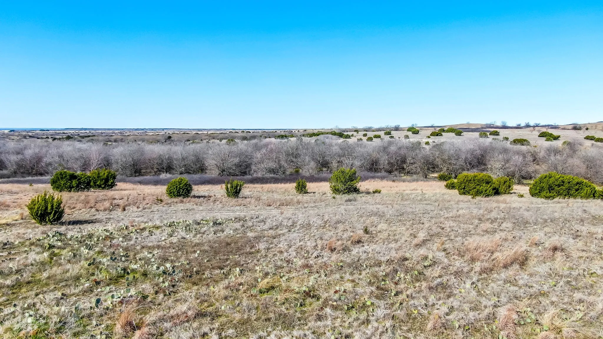 Unimproved Land For Sale in Parker County , TBD 0 Hwy 171, Cresson, Texas 76035, 0, 0, Garage spaces, 0 Sqft, built in 0, mls#21092615, Real Estate Agent in Cresson, Homes For Sale in Parker county, Homes For Sale in Cresson, Realtor in Cresson Texas, Real Estate Brokerage Independent Realty Texas, Luminita Cordes Realtor