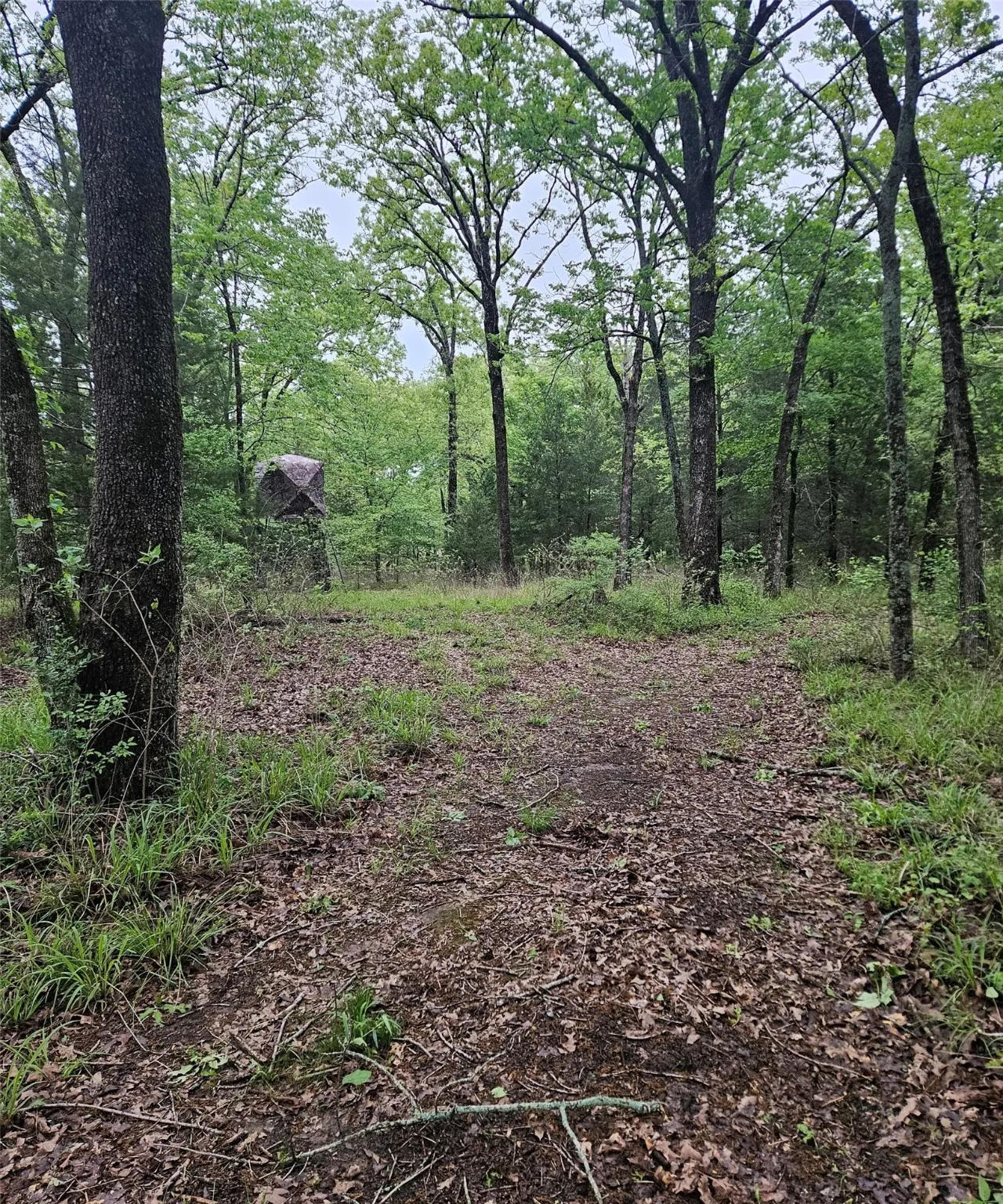 Unimproved Land For Sale in Henderson County , 01 Private 5401 Road, Malakoff, Texas 75148, 0, 0, Garage spaces, 0 Sqft, built in 0, mls#21092043, Real Estate Agent in Malakoff, Homes For Sale in Henderson county, Homes For Sale in Malakoff, Realtor in Malakoff Texas, Real Estate Brokerage Independent Realty Texas, Luminita Cordes Realtor