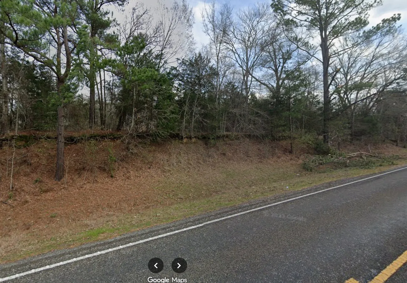 Unimproved Land For Sale in Henderson County , 6090 Fm 314 S, Larue, Texas 75770, 0, 0, Garage spaces, 0 Sqft, built in 0, mls#21087689, Real Estate Agent in Larue, Homes For Sale in Henderson county, Homes For Sale in Larue, Realtor in Larue Texas, Real Estate Brokerage Independent Realty Texas, Luminita Cordes Realtor