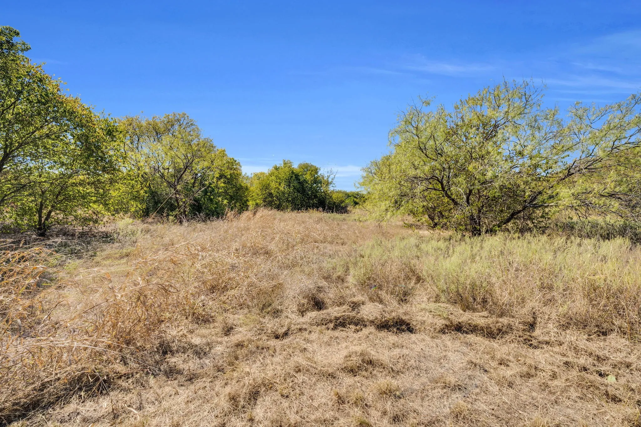 Unimproved Land For Sale in Tarrant County , 485 S Magnolia Street, Crowley, Texas 76036, 0, 0, Garage spaces, 0 Sqft, built in 0, Price $500,000, mls#21093274, Real Estate Agent in Crowley, Homes For Sale in Tarrant county, Homes For Sale in Crowley, Realtor in Crowley Texas, Real Estate Brokerage Independent Realty Texas, Luminita Cordes Realtor