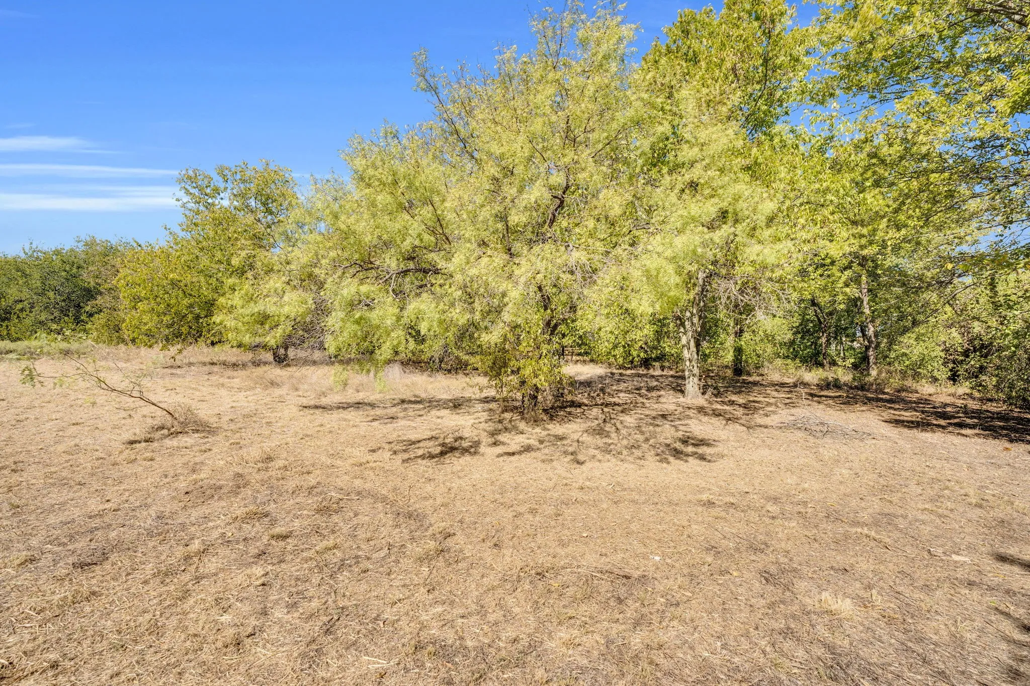 Unimproved Land For Sale in Tarrant County , 485 S Magnolia Street, Crowley, Texas 76036, 0, 0, Garage spaces, 0 Sqft, built in 0, Price $500,000, mls#21093274, Real Estate Agent in Crowley, Homes For Sale in Tarrant county, Homes For Sale in Crowley, Realtor in Crowley Texas, Real Estate Brokerage Independent Realty Texas, Luminita Cordes Realtor