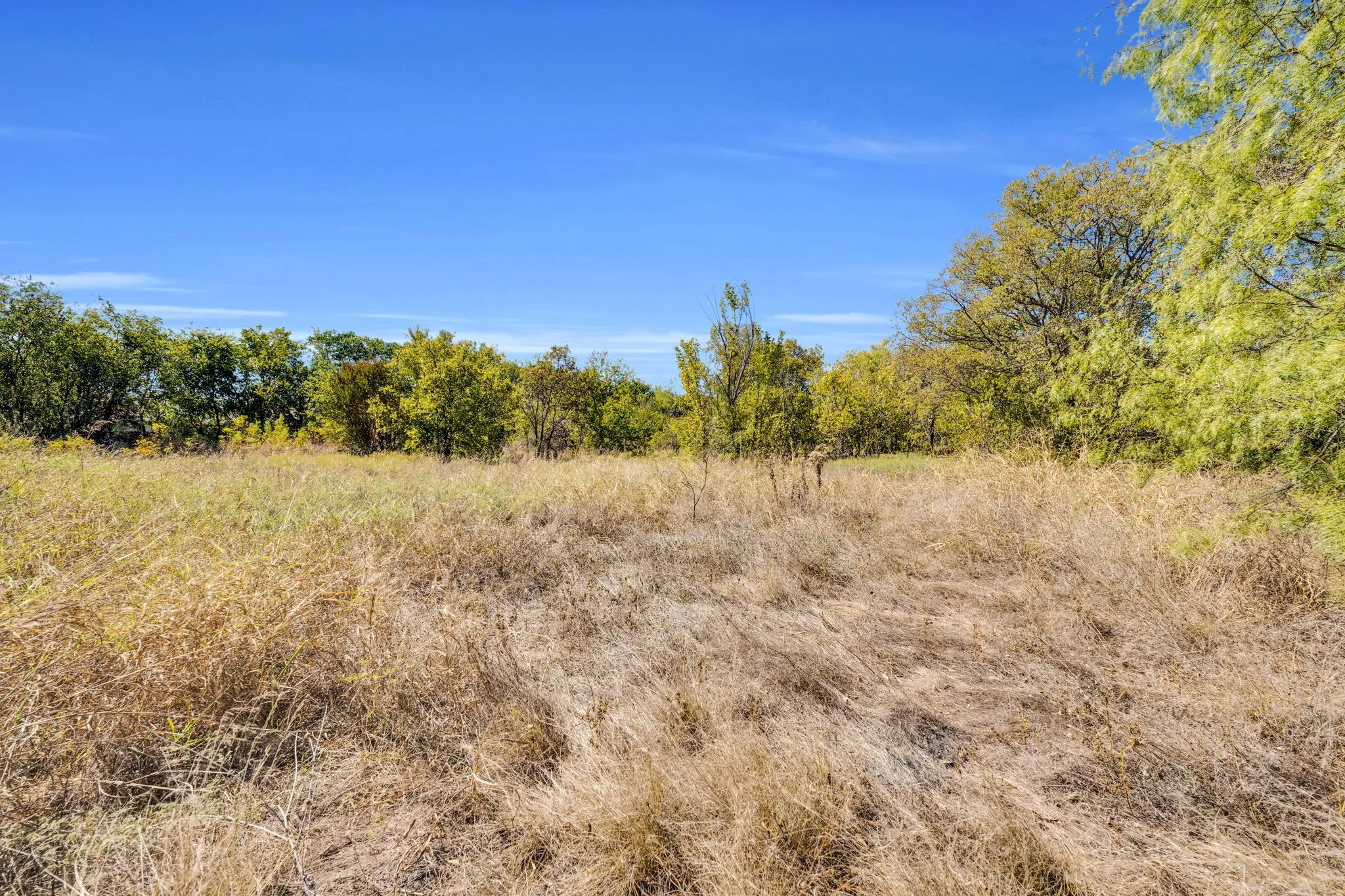 Unimproved Land For Sale in Tarrant County , 485 S Magnolia Street, Crowley, Texas 76036, 0, 0, Garage spaces, 0 Sqft, built in 0, Price $500,000, mls#21093274, Real Estate Agent in Crowley, Homes For Sale in Tarrant county, Homes For Sale in Crowley, Realtor in Crowley Texas, Real Estate Brokerage Independent Realty Texas, Luminita Cordes Realtor