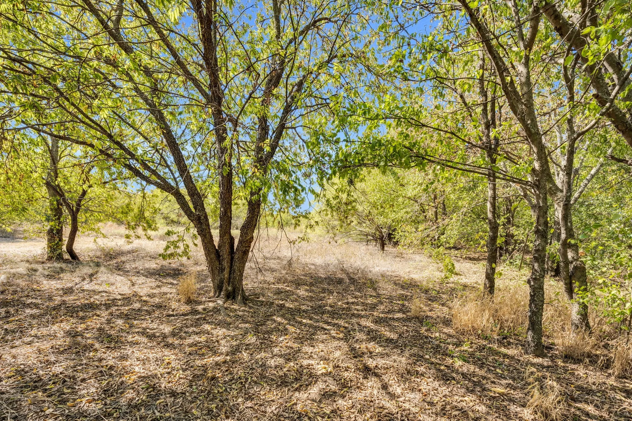 Unimproved Land For Sale in Tarrant County , 485 S Magnolia Street, Crowley, Texas 76036, 0, 0, Garage spaces, 0 Sqft, built in 0, Price $500,000, mls#21093274, Real Estate Agent in Crowley, Homes For Sale in Tarrant county, Homes For Sale in Crowley, Realtor in Crowley Texas, Real Estate Brokerage Independent Realty Texas, Luminita Cordes Realtor