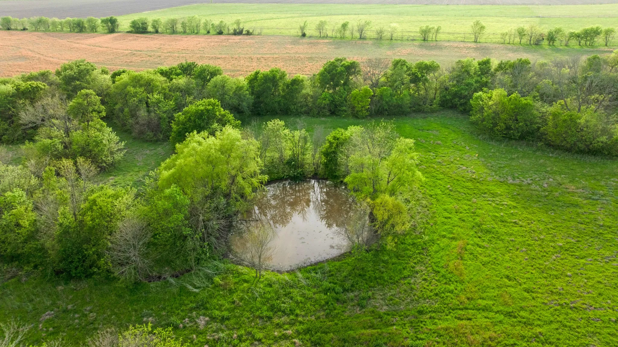 Farm For Sale in Hunt County , 6559 FM 2068, Commerce, Texas 75428, 3 Bedroom, 2 Bathroom, Garage spaces, 2,614 Sqft, built in 2007, mls#21093375, Real Estate Agent in Commerce, Homes For Sale in Hunt county, Homes For Sale in Commerce, Realtor in Commerce Texas, Real Estate Brokerage Independent Realty Texas, Luminita Cordes Realtor