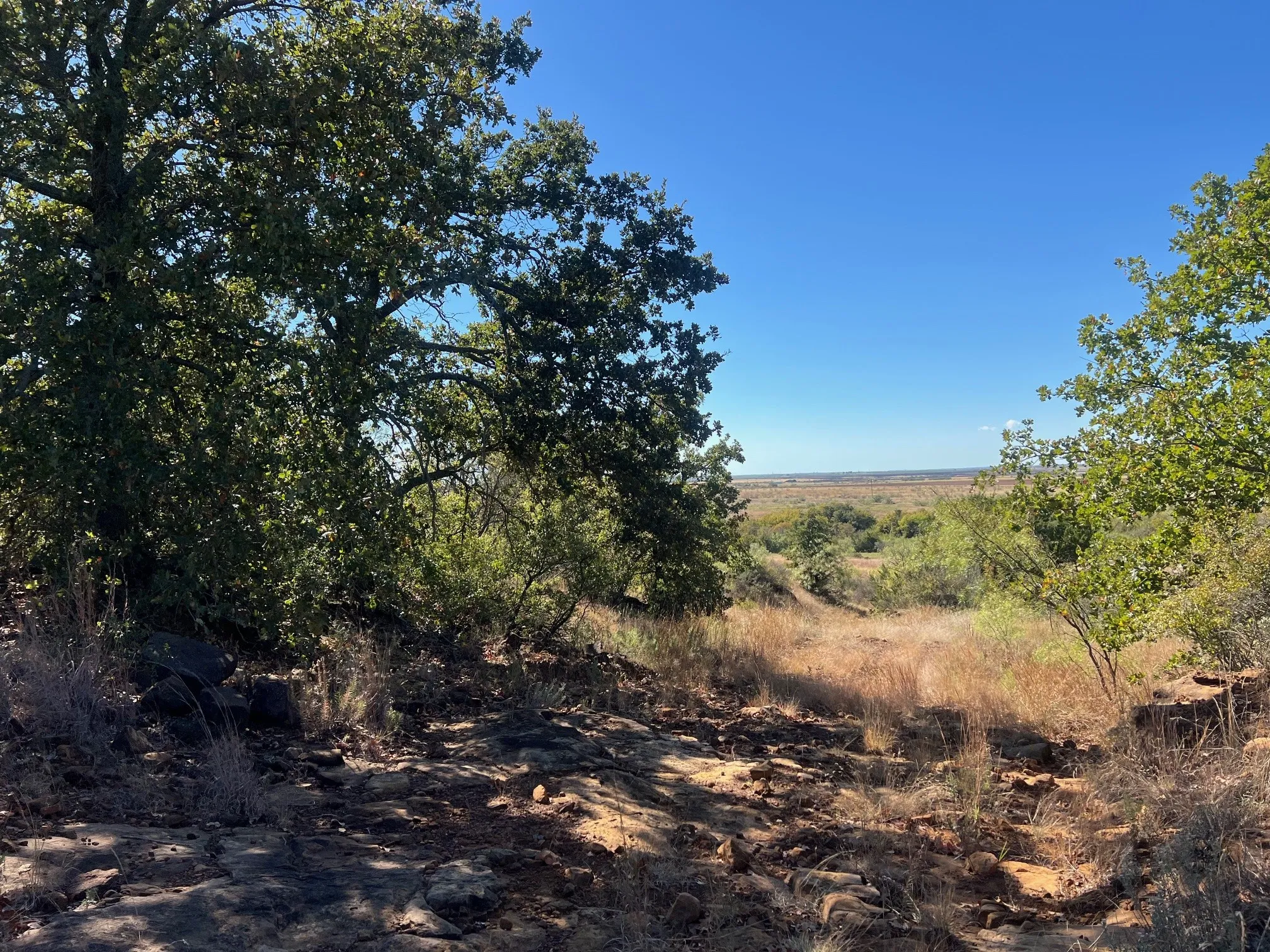 Unimproved Land For Sale in Young County , TBD Uselton Road, Loving, Texas 76460, 0, 0, Garage spaces, 0 Sqft, built in 0, mls#21090278, Real Estate Agent in Loving, Homes For Sale in Young county, Homes For Sale in Loving, Realtor in Loving Texas, Real Estate Brokerage Independent Realty Texas, Luminita Cordes Realtor