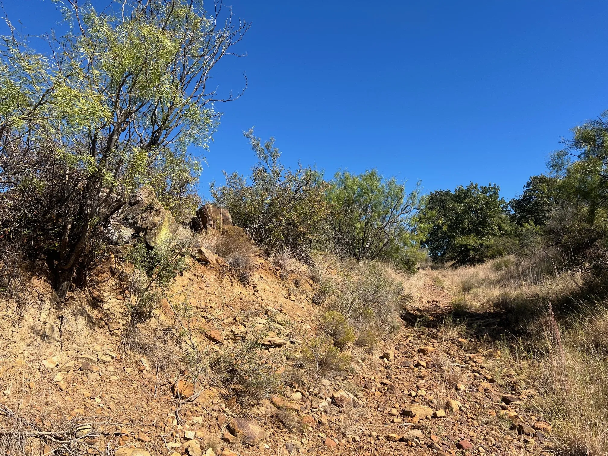 Unimproved Land For Sale in Young County , TBD Uselton Road, Loving, Texas 76460, 0, 0, Garage spaces, 0 Sqft, built in 0, mls#21090278, Real Estate Agent in Loving, Homes For Sale in Young county, Homes For Sale in Loving, Realtor in Loving Texas, Real Estate Brokerage Independent Realty Texas, Luminita Cordes Realtor