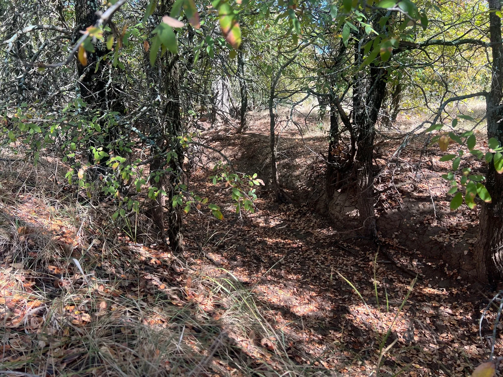 Unimproved Land For Sale in Young County , TBD Uselton Road, Loving, Texas 76460, 0, 0, Garage spaces, 0 Sqft, built in 0, mls#21090278, Real Estate Agent in Loving, Homes For Sale in Young county, Homes For Sale in Loving, Realtor in Loving Texas, Real Estate Brokerage Independent Realty Texas, Luminita Cordes Realtor