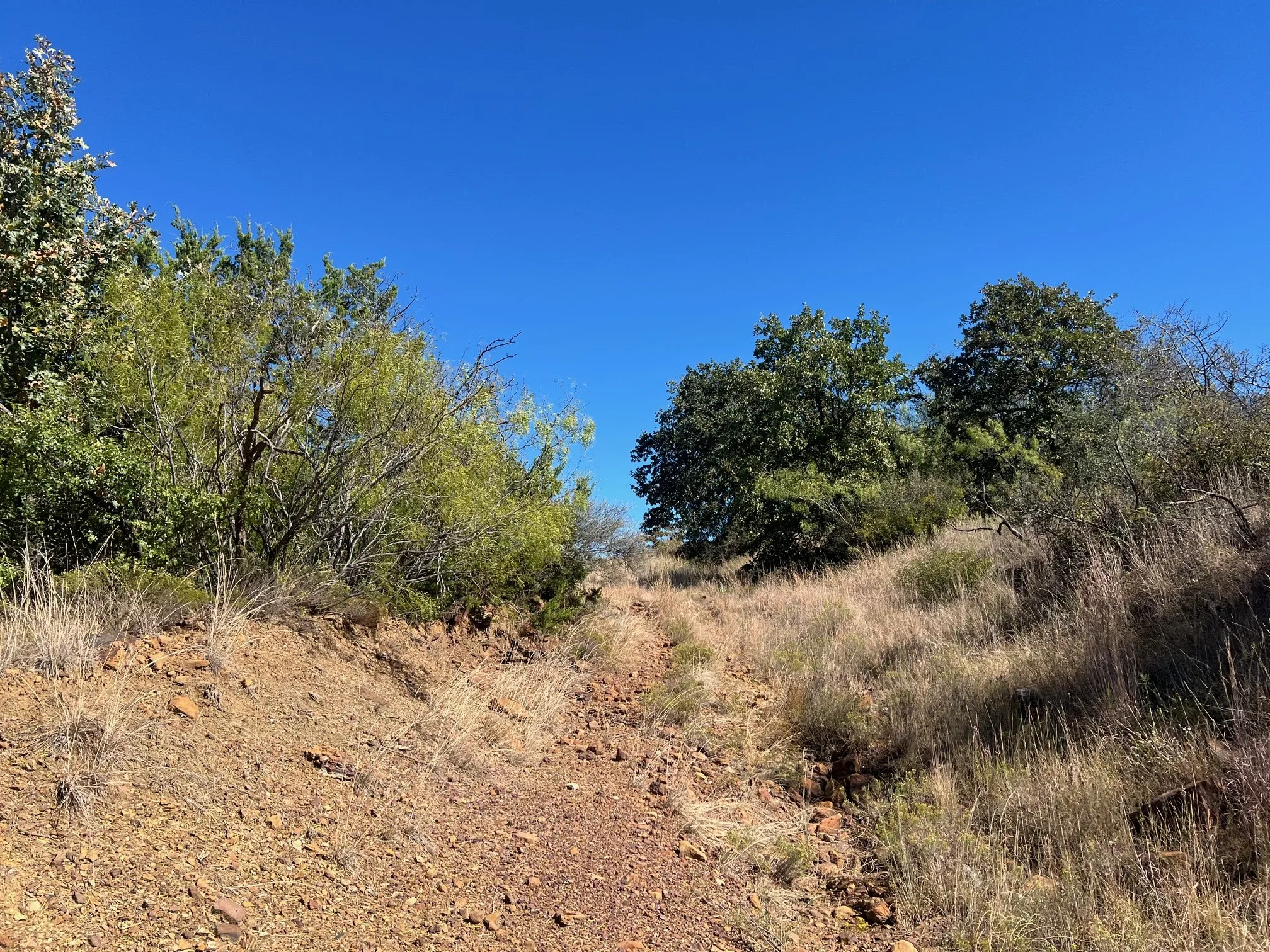 View of undeveloped land
